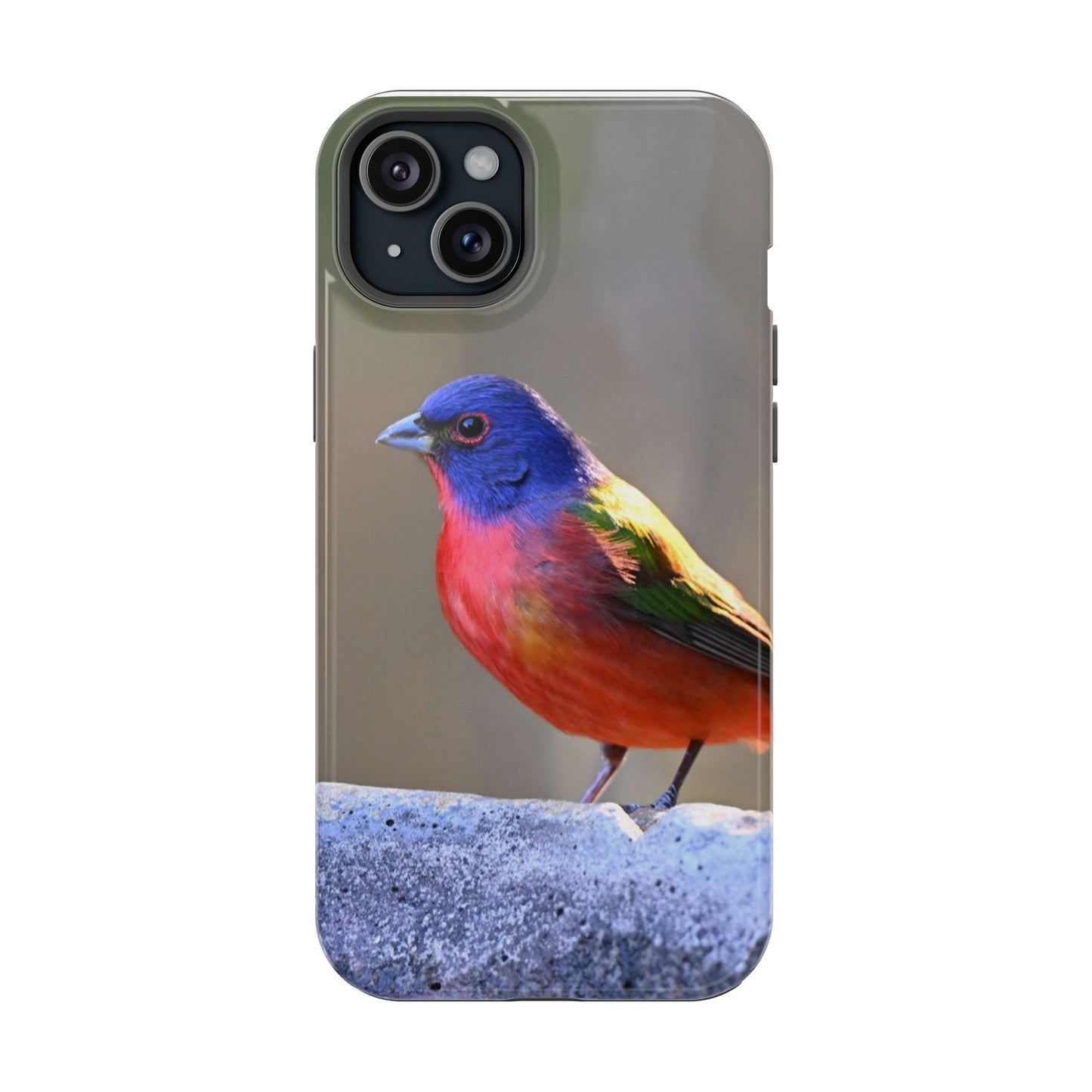 Colorful Bird Phone Case, Magnetic Tough Cases, Nature Lover Gift, Wildlife Phone Cover, Eco-Friendly Tech Accessories