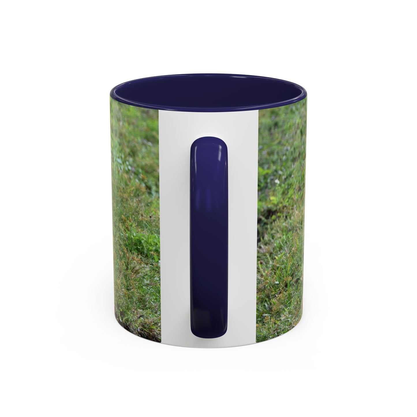 Where's My Coffee? Accent Coffee Mug – Funny Crow Bird Coffee Cup (11/15oz)