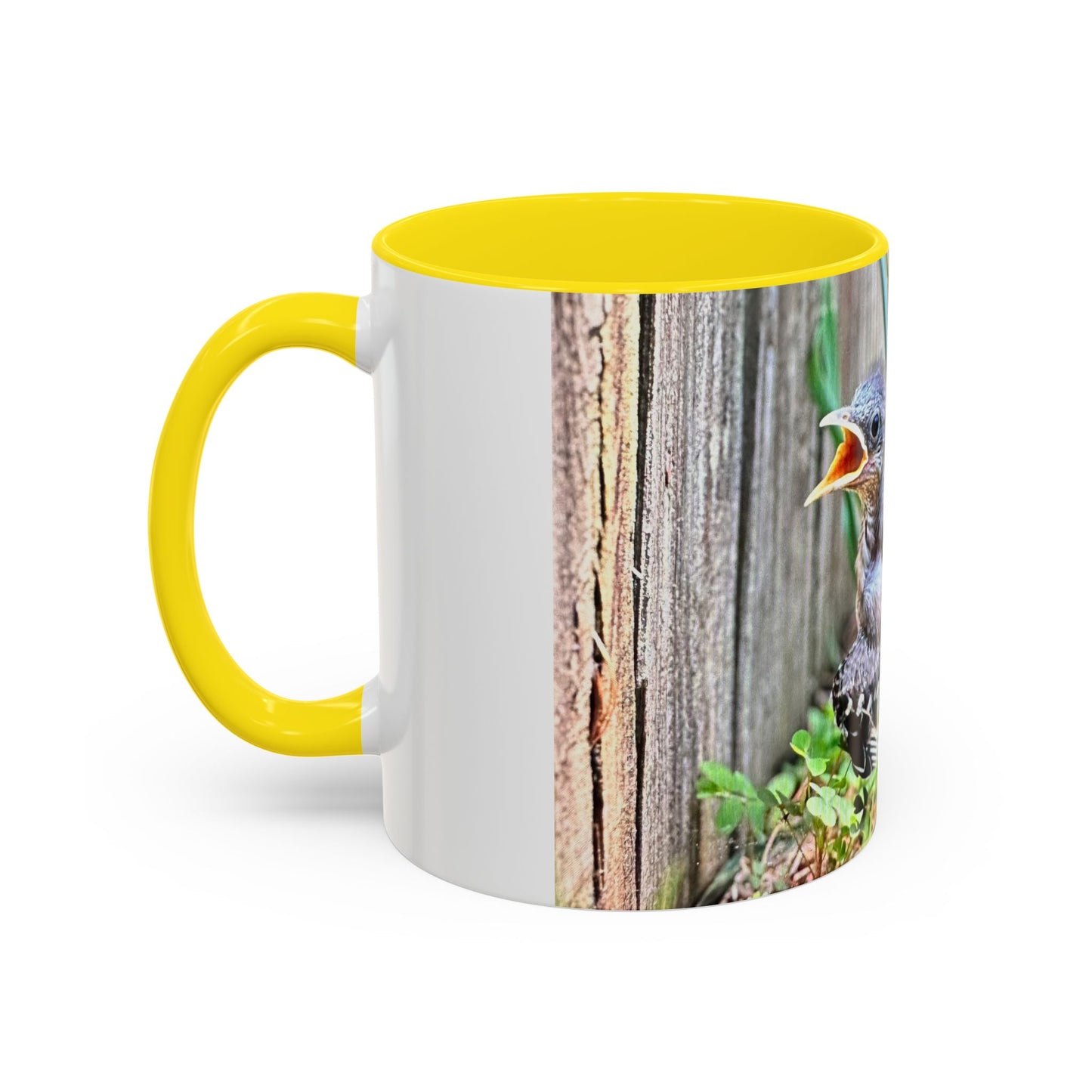 Charming Bird-Themed Coffee Mug, Perfect Gift for Bird Lovers, Nature Enthusiasts, Birdwatching, Home Decor, Birthday Present