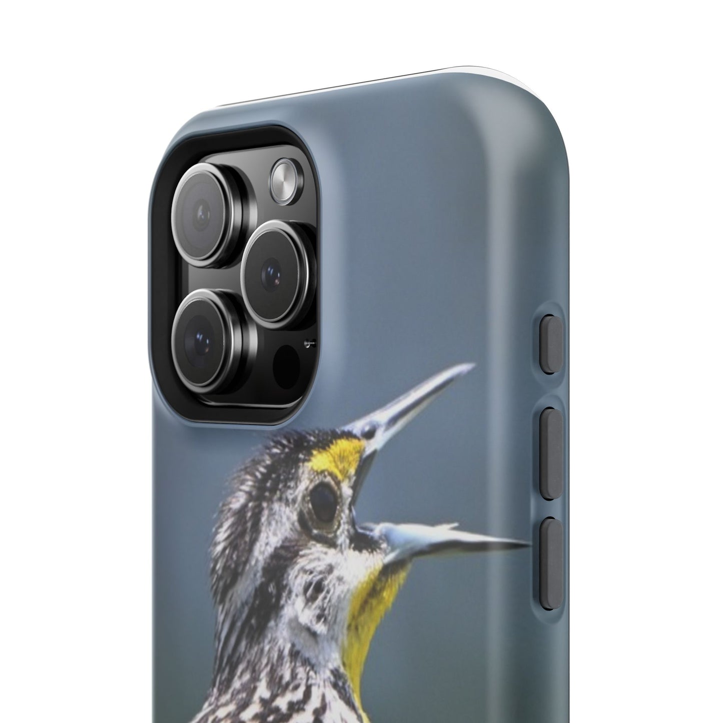 Western Meadowlark Photo Phone Case — Impact-Resistant Protective Cover