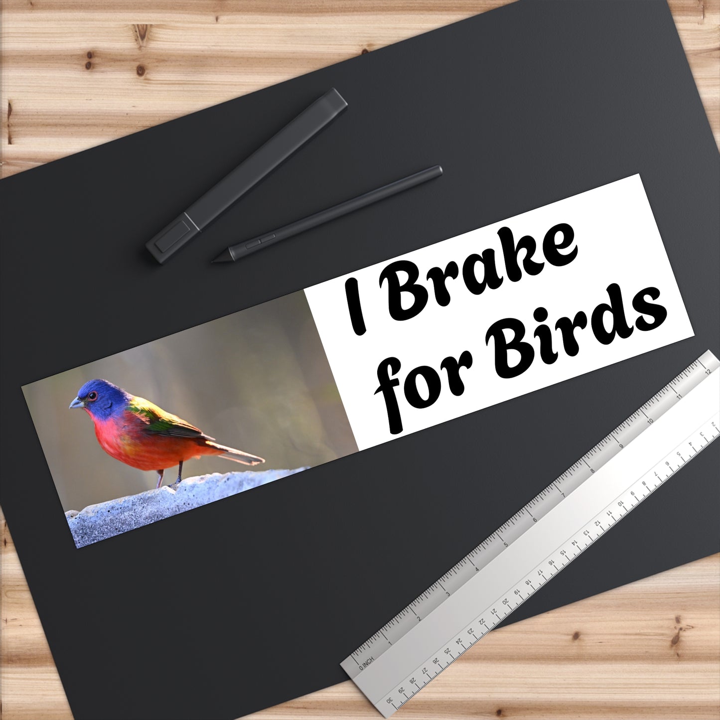 Bird Lover Bumper Stickers, Car Decal, Nature Lover Gift, Wildlife Sticker, Eco-Friendly Car Art, I Brake for Birds