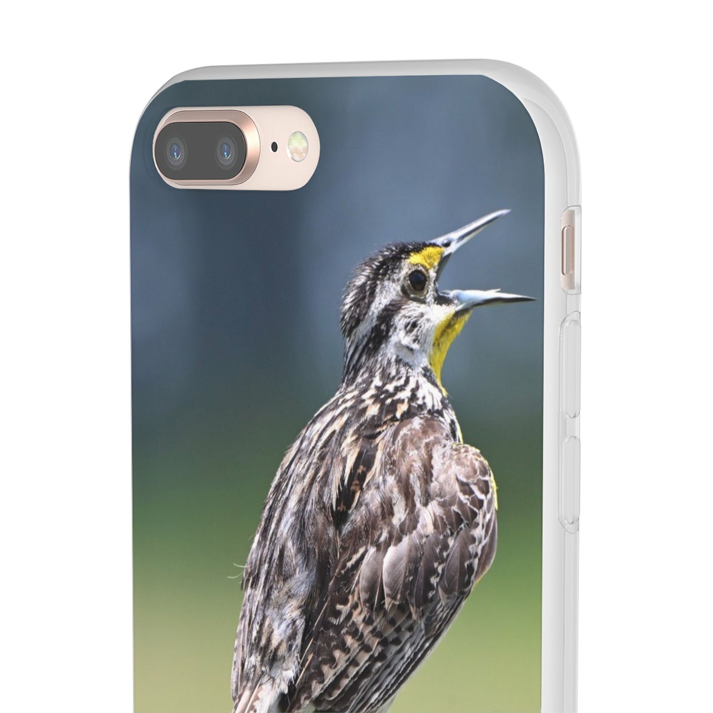 Singing Meadowlark Phone Case – Nature Bird Photo Flexi Case