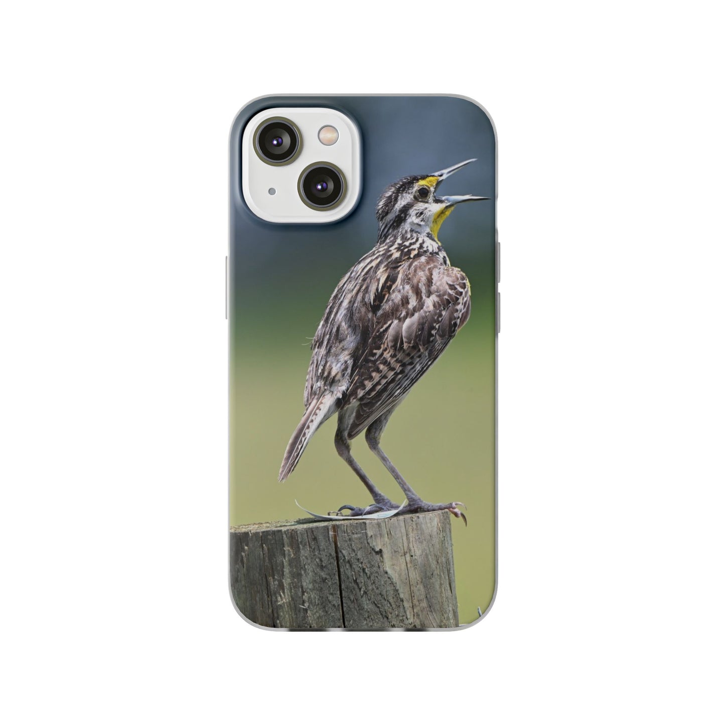 Singing Meadowlark Phone Case – Nature Bird Photo Flexi Case