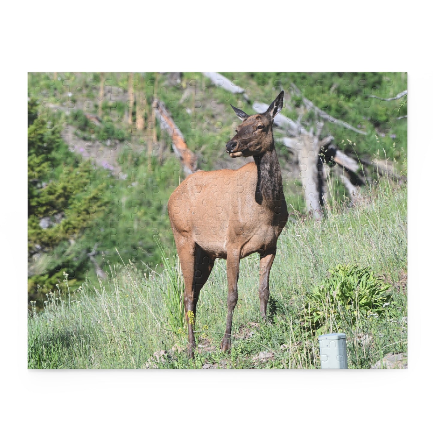 Elk Puzzle Game, Nature-Based Fun, Wildlife Lover Gift, Family Game Night, Educational Activity, Relaxing Hobby