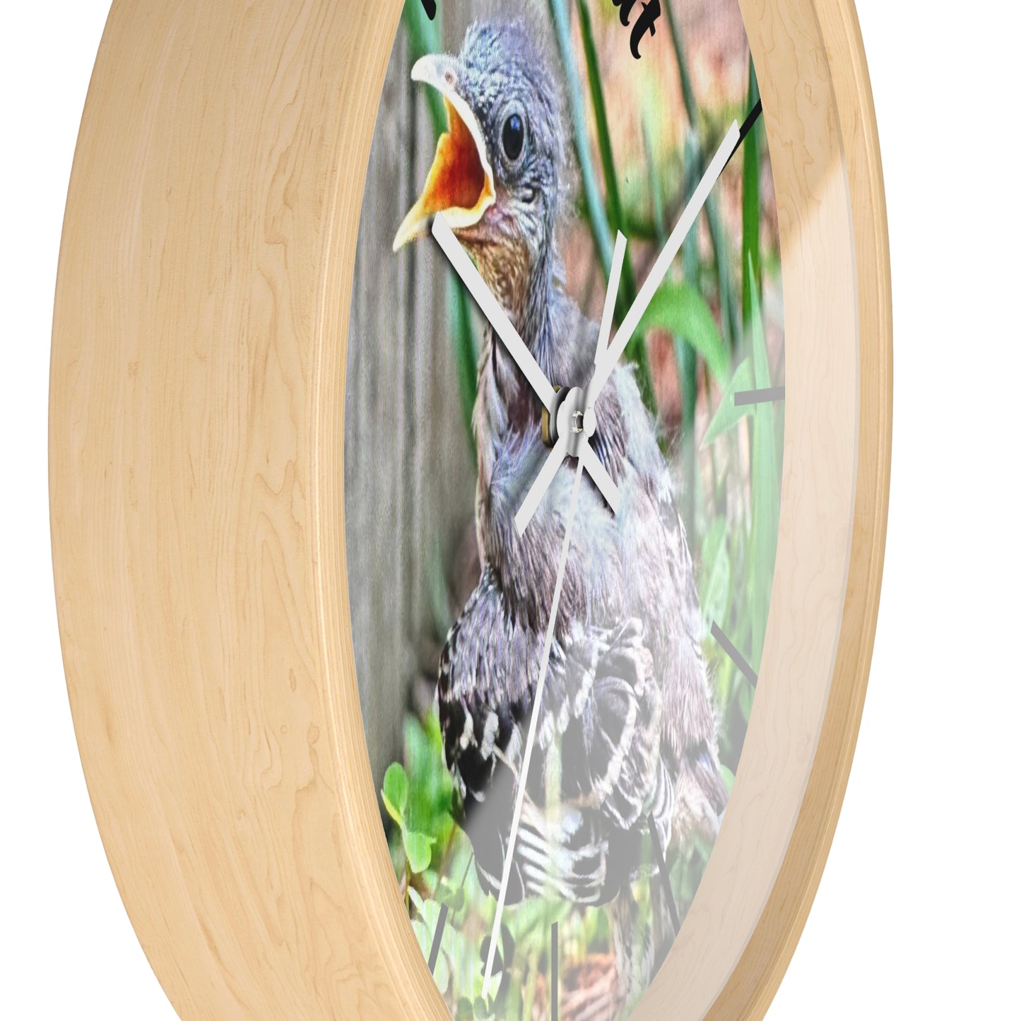 Nature-Inspired Wall Clock, Time to Eat Bird Clock, Home Decor for Bird Lovers, Gift for Nature Enthusiasts, Unique Wall Art