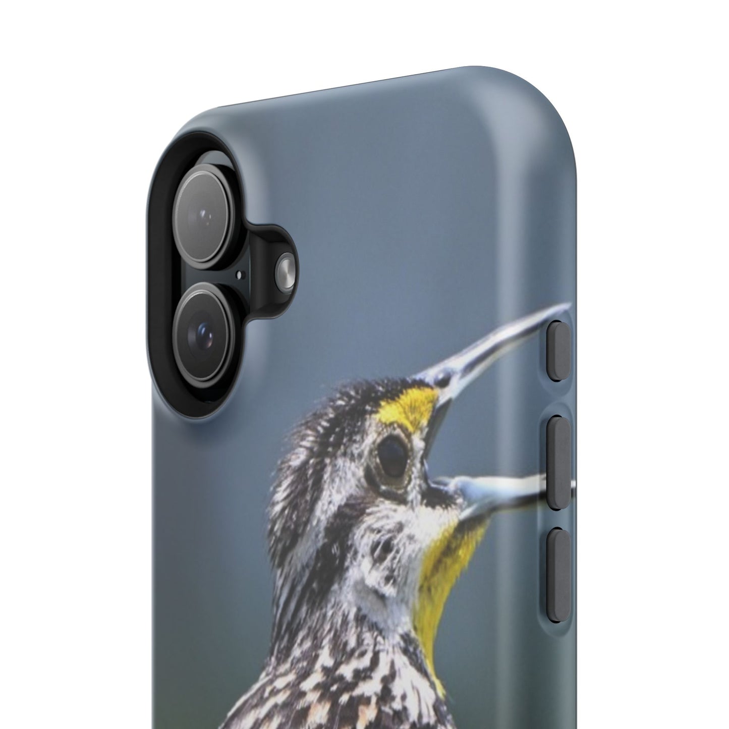 Western Meadowlark Photo Phone Case — Impact-Resistant Protective Cover