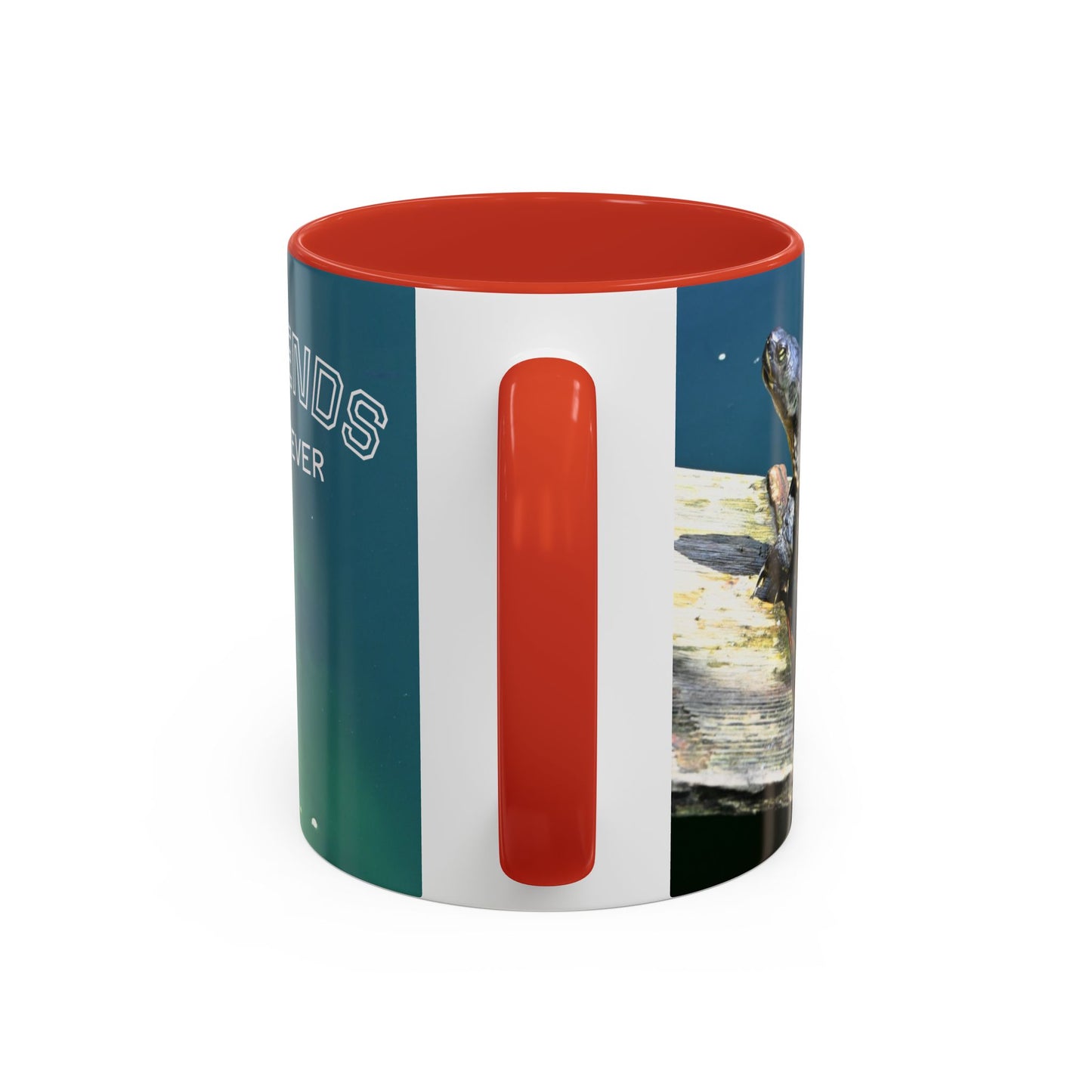 Friends Forever Turtle Accent Coffee Mug — 11/15oz Gift for Animal Lovers