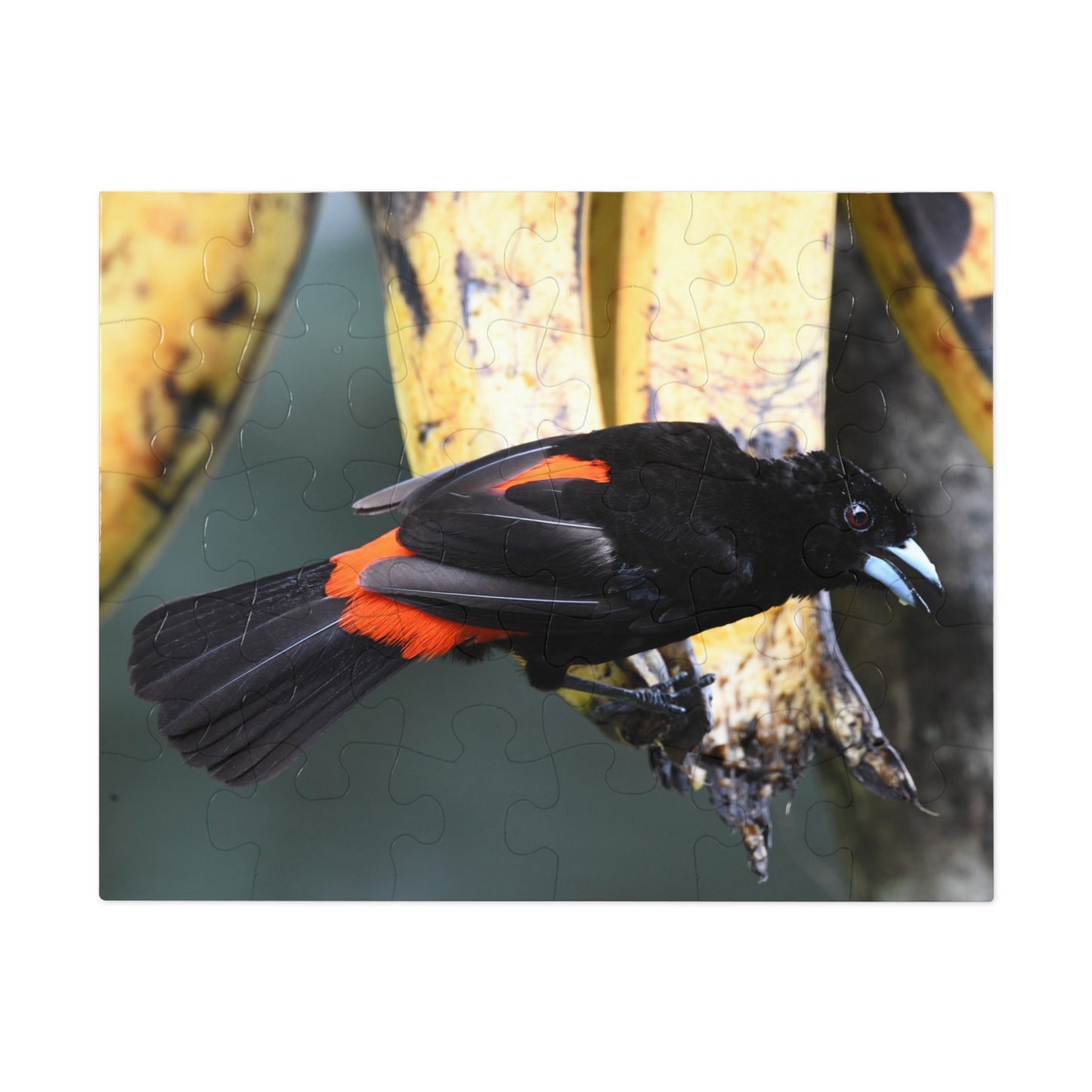 Bird-Themed Jigsaw Puzzle with Tin - Perfect Gift for Nature Lovers, Family Game Night, Eco-Friendly Home Decor, Educational Activity.