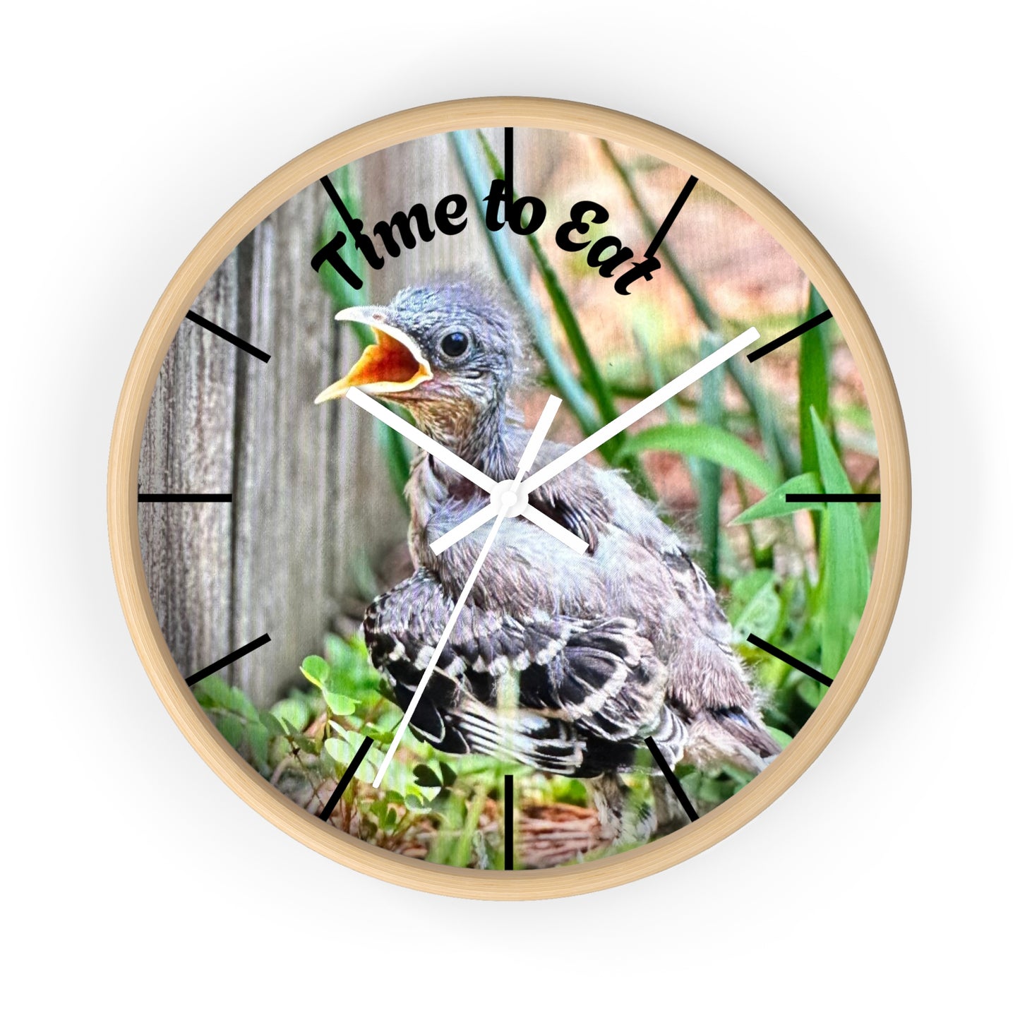 Nature-Inspired Wall Clock, Time to Eat Bird Clock, Home Decor for Bird Lovers, Gift for Nature Enthusiasts, Unique Wall Art