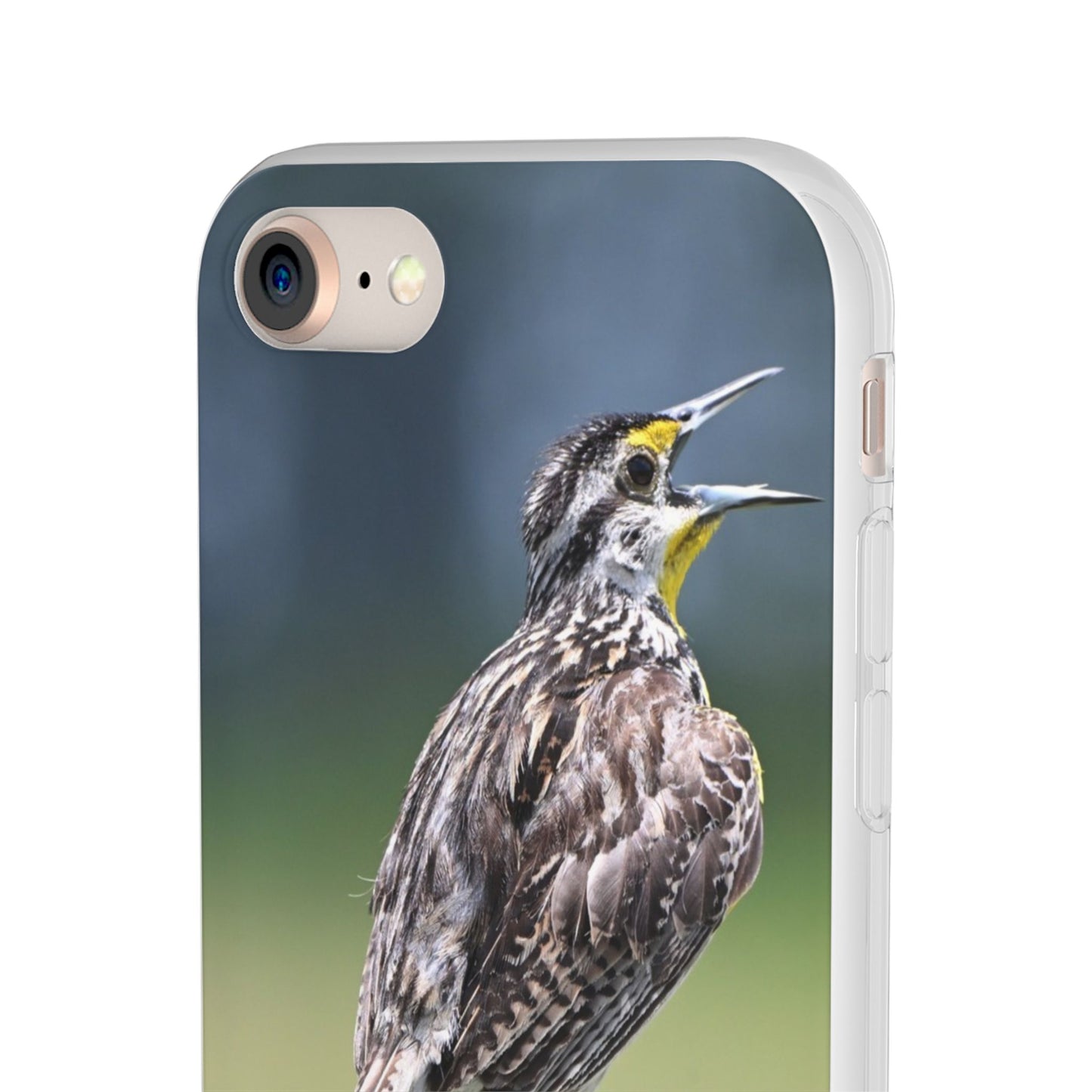 Singing Meadowlark Phone Case – Nature Bird Photo Flexi Case
