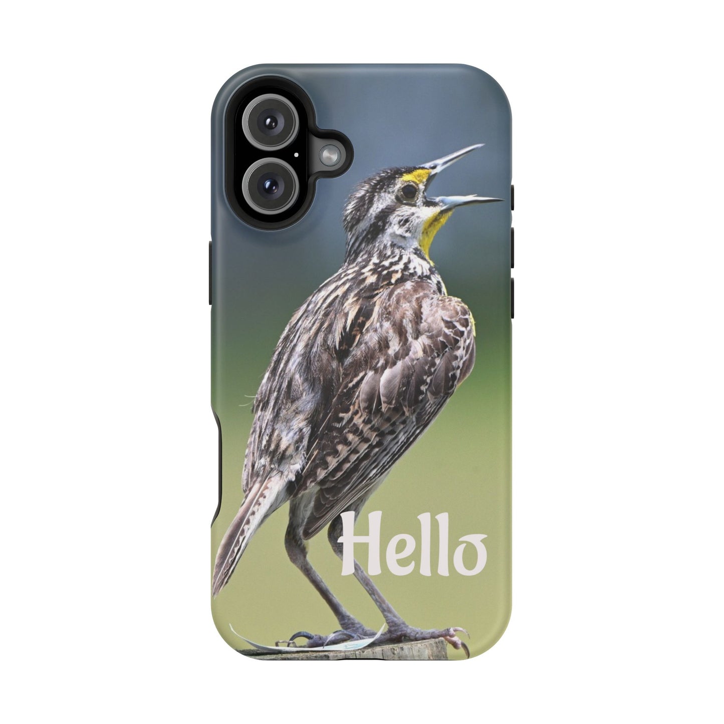 Bird-Themed Magnetic Tough Cases with 'Hello', Stylish Phone Protectors, Gifts for Nature Lovers, Birdwatching Accessories, Wildlife [...]