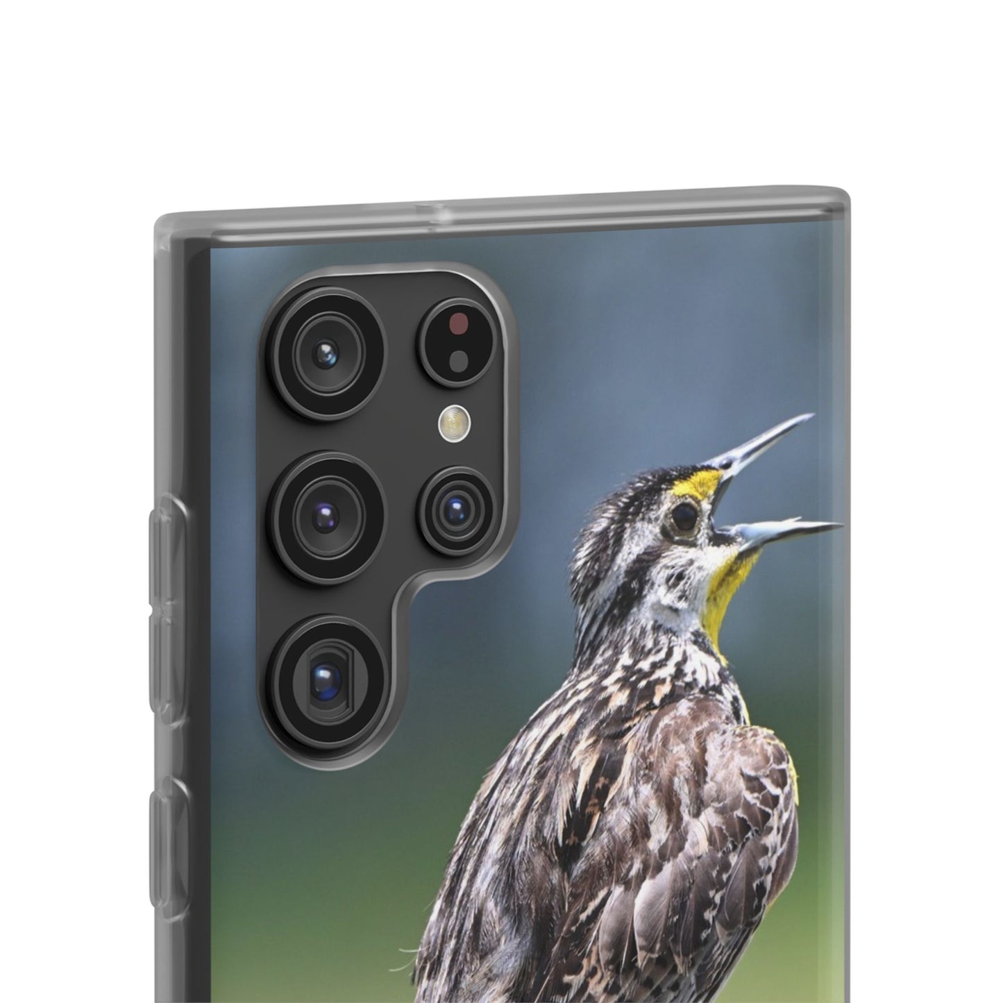Singing Meadowlark Phone Case – Nature Bird Photo Flexi Case