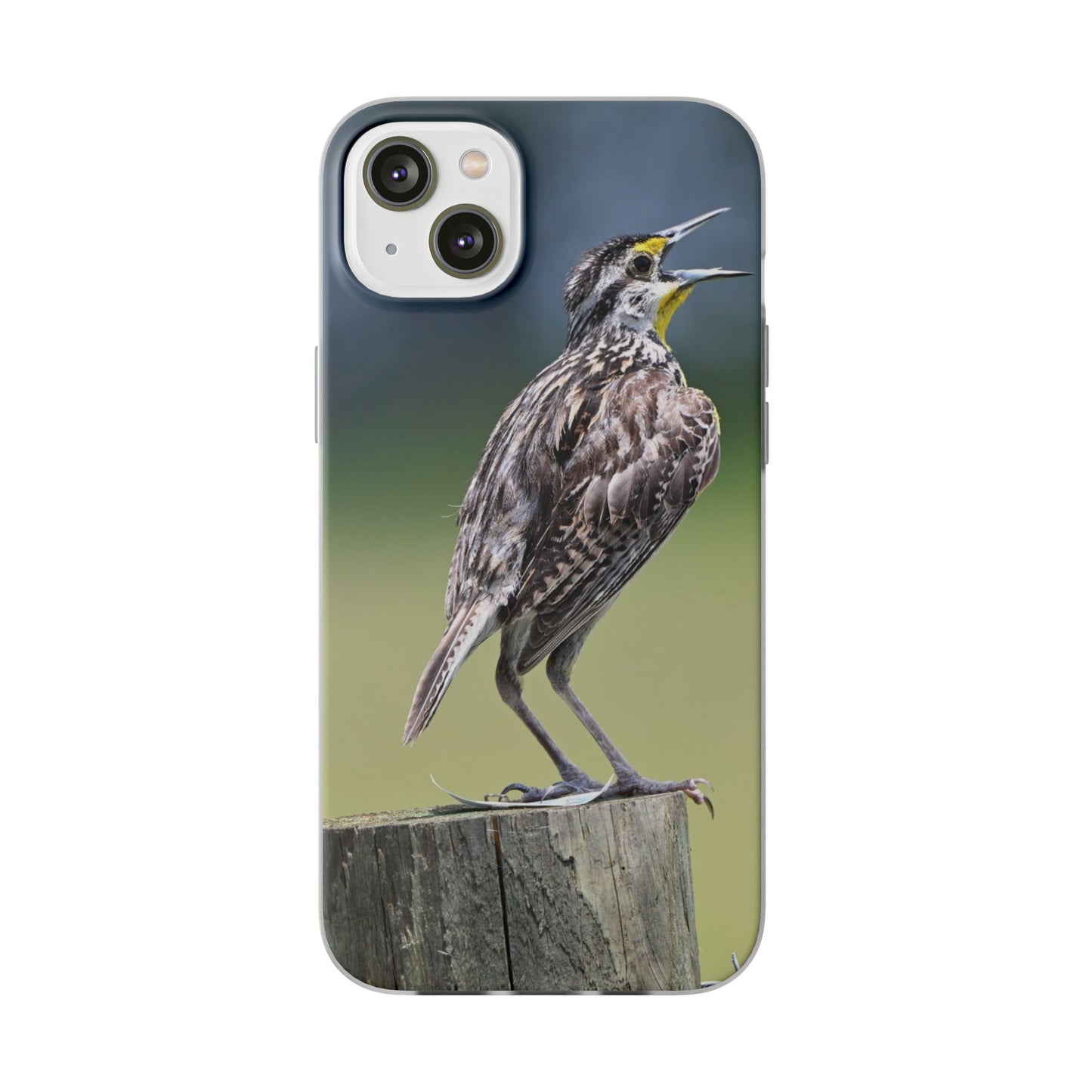 Singing Meadowlark Phone Case – Nature Bird Photo Flexi Case