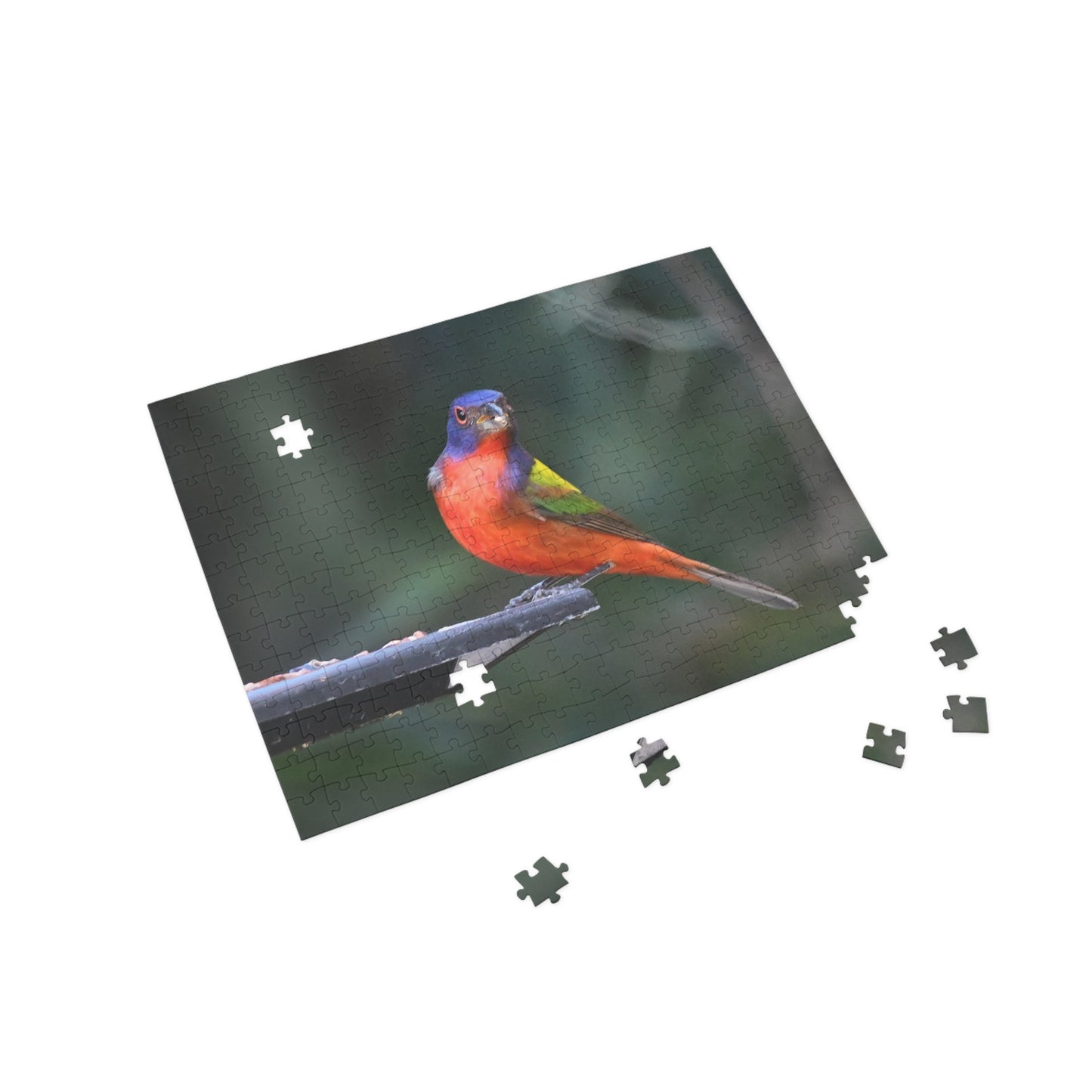 Vibrant Bird Puzzle - 96, 252, 500, or 1000 Pieces | Nature Jigsaw for Bird Lovers, Family Game Night, Educational Fun, Gift Idea