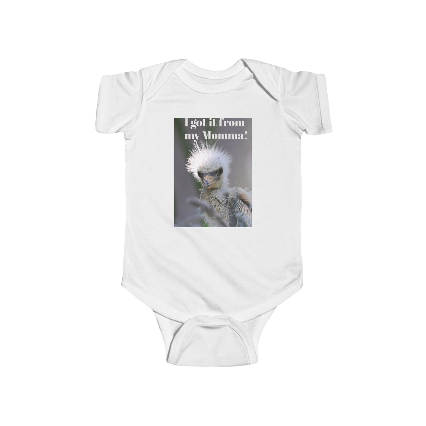 Funny Baby Bodysuit, I Got It From My Momma Gift, Infant Onesie, Cute Baby Shower Outfit, Newborn Clothes, Baby Announcement