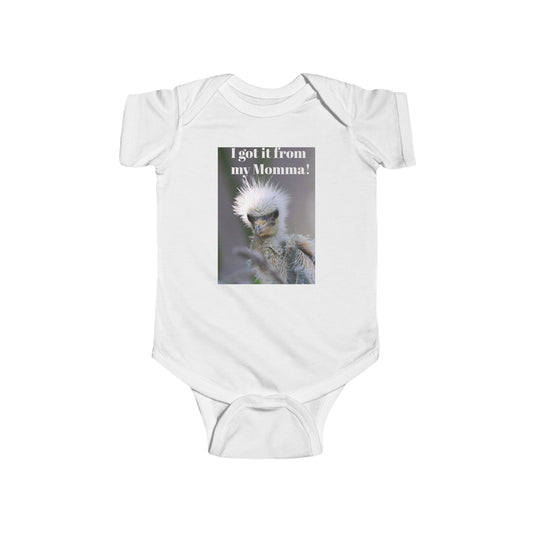 Funny Baby Bodysuit, I Got It From My Momma Gift, Infant Onesie, Cute Baby Shower Outfit, Newborn Clothes, Baby Announcement