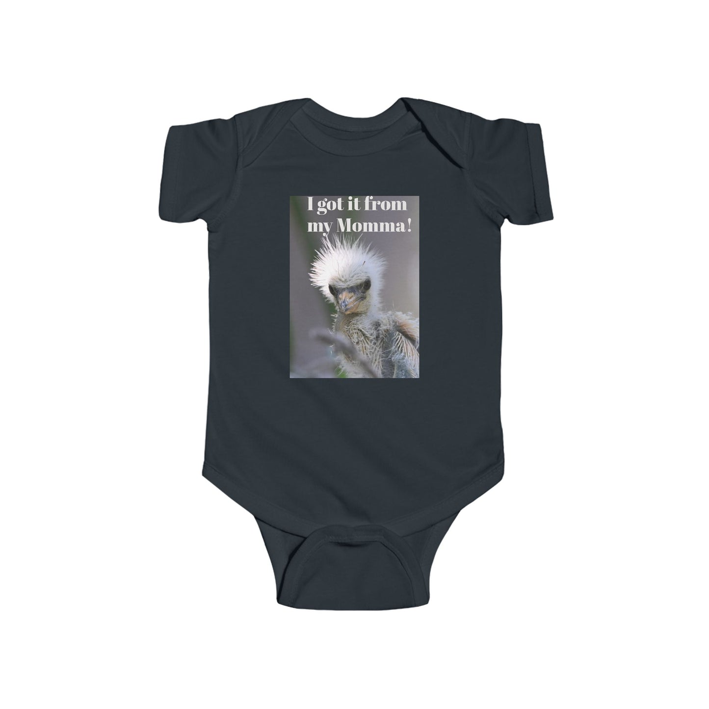 Funny Baby Bodysuit, I Got It From My Momma Gift, Infant Onesie, Cute Baby Shower Outfit, Newborn Clothes, Baby Announcement