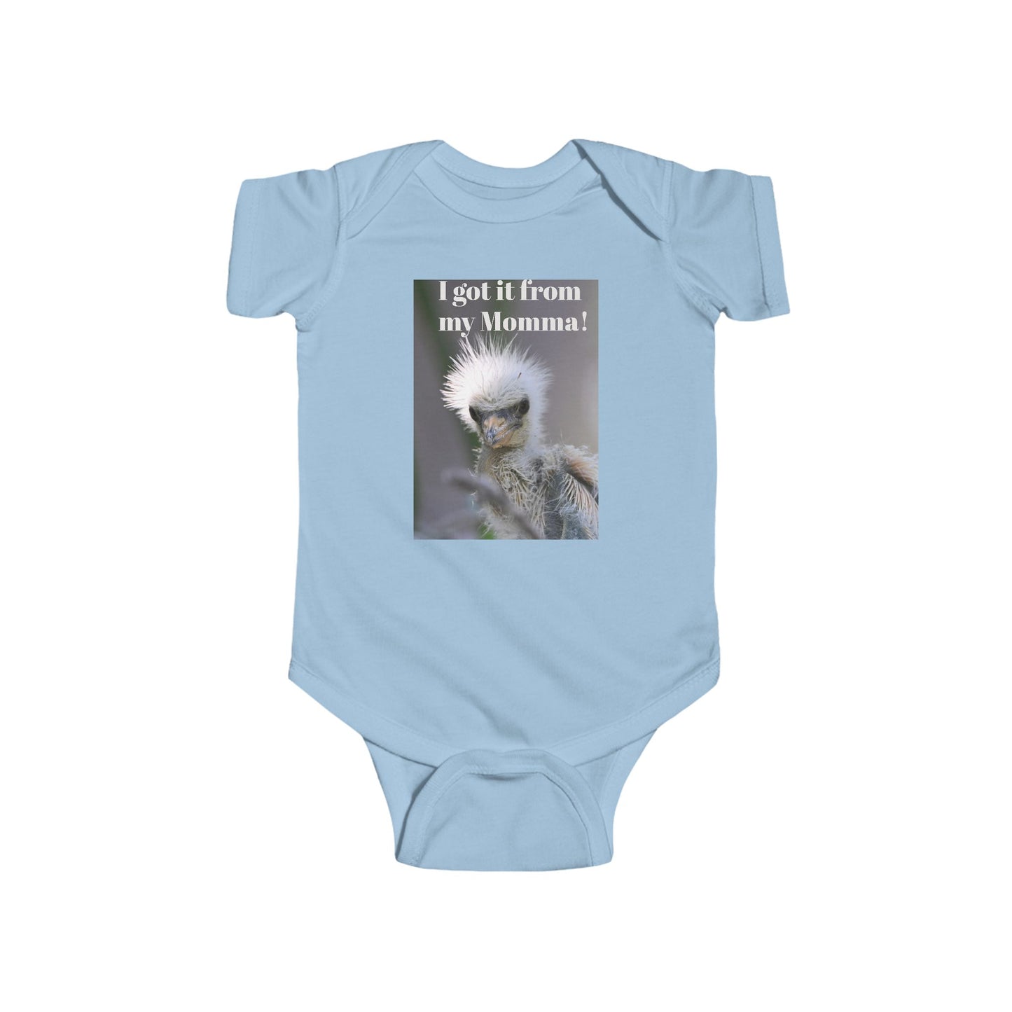 Funny Baby Bodysuit, I Got It From My Momma Gift, Infant Onesie, Cute Baby Shower Outfit, Newborn Clothes, Baby Announcement