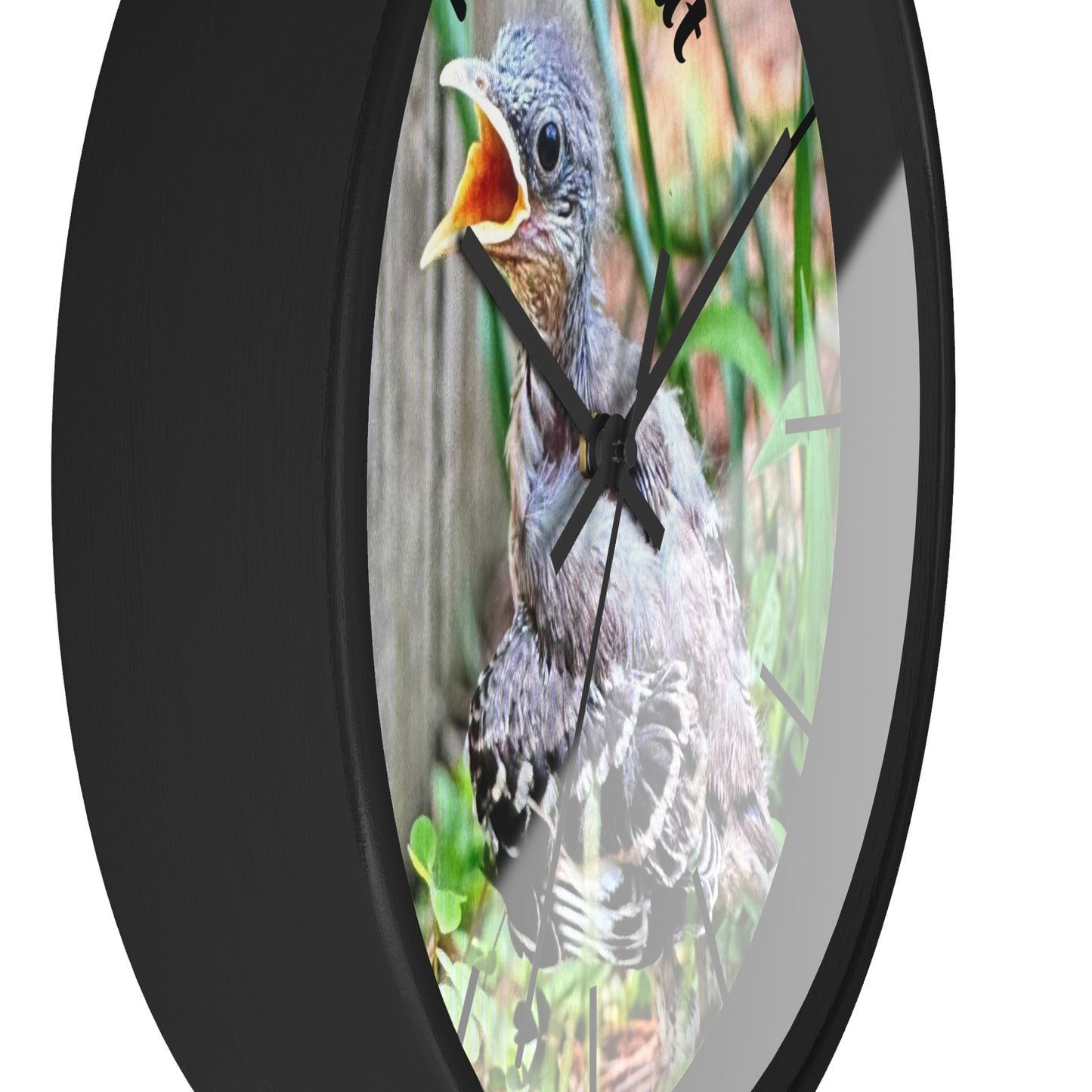 Nature-Inspired Wall Clock, Time to Eat Bird Clock, Home Decor for Bird Lovers, Gift for Nature Enthusiasts, Unique Wall Art