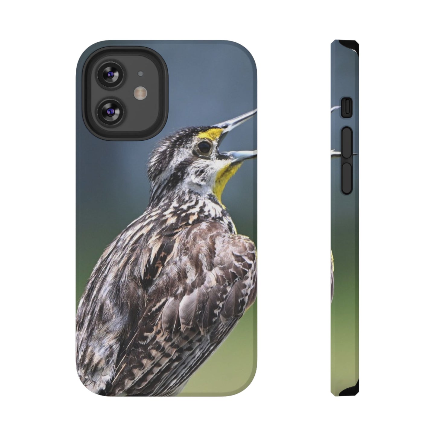 Western Meadowlark Photo Phone Case — Impact-Resistant Protective Cover