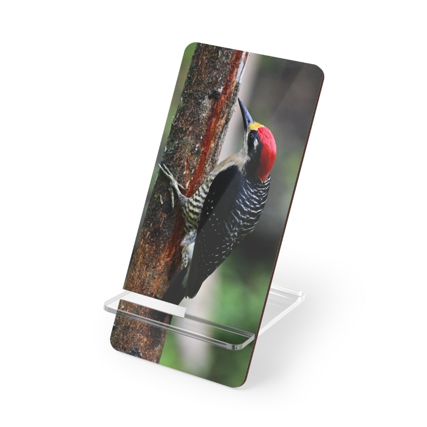Woodpecker Phone Stand — Clear Acrylic Smartphone Display Stand with Forest Bird Photo