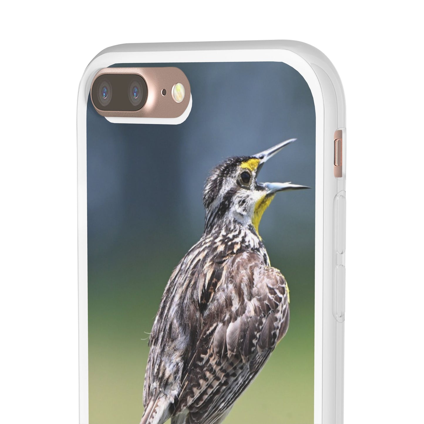 Singing Meadowlark Phone Case – Nature Bird Photo Flexi Case