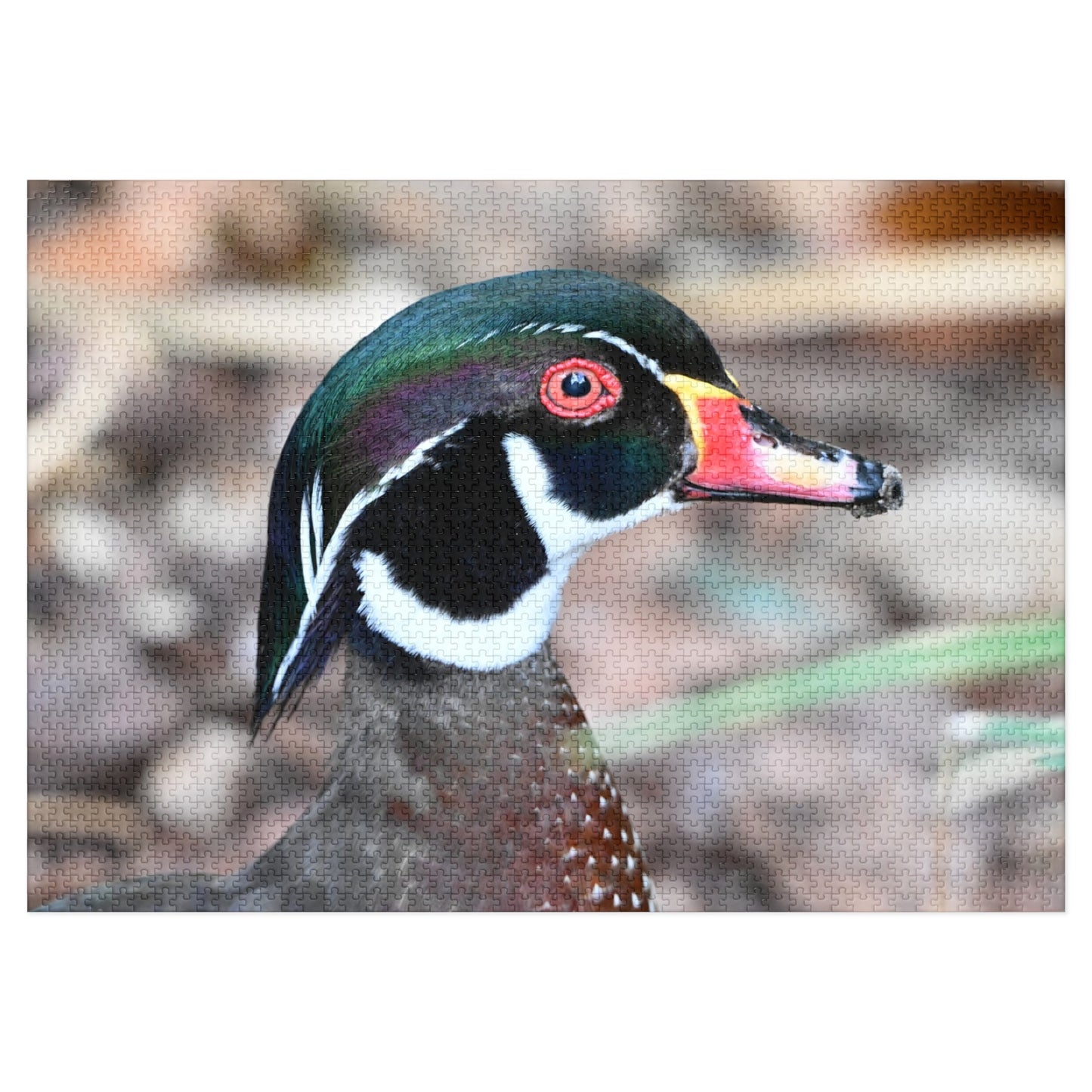 Wood Duck Puzzle, Relaxing Jigsaw Game, Unique Gift for Nature Lovers, Fun Family Activity, Bird Enthusiast Puzzle