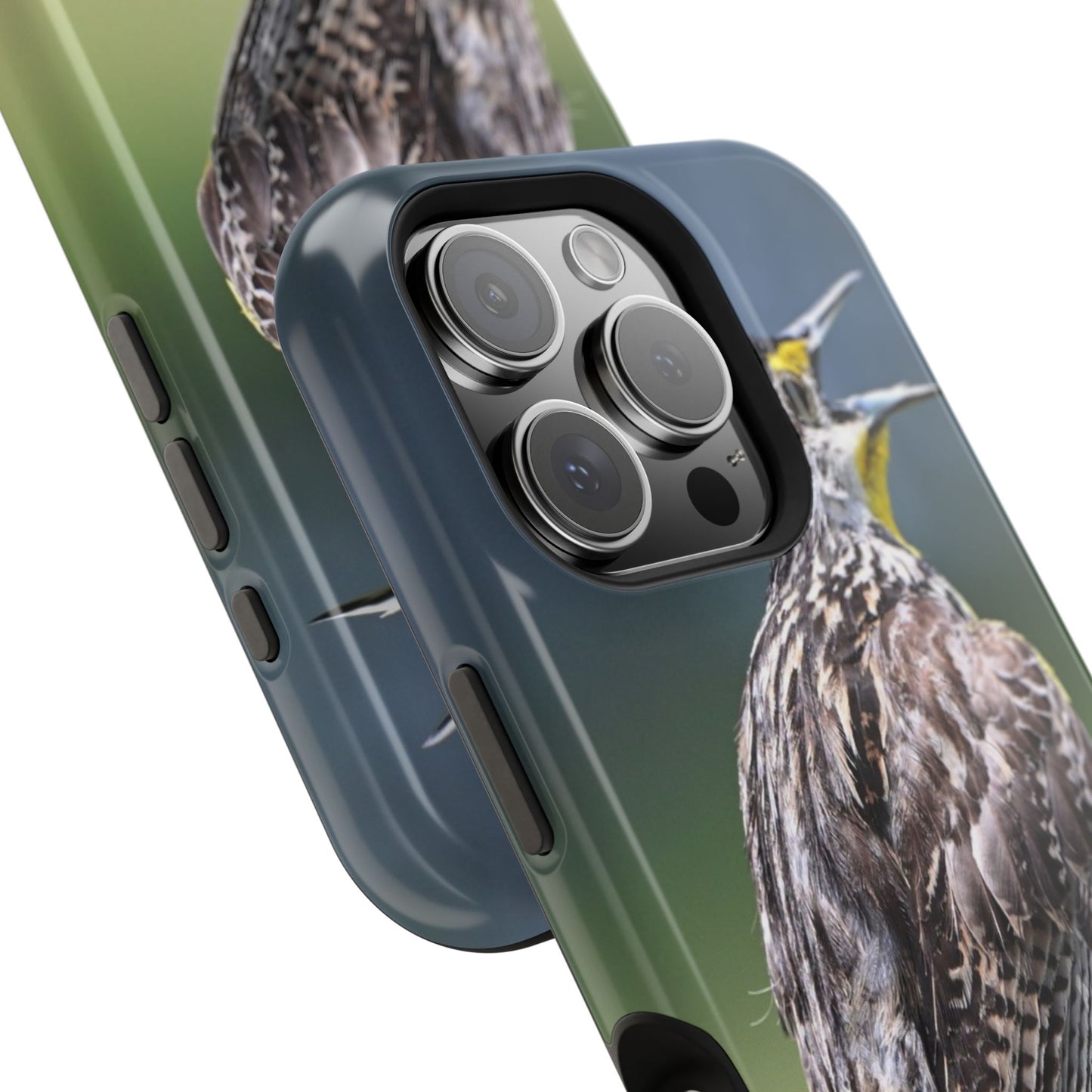 Bird-Themed Magnetic Tough Cases with 'Hello', Stylish Phone Protectors, Gifts for Nature Lovers, Birdwatching Accessories, Wildlife [...]
