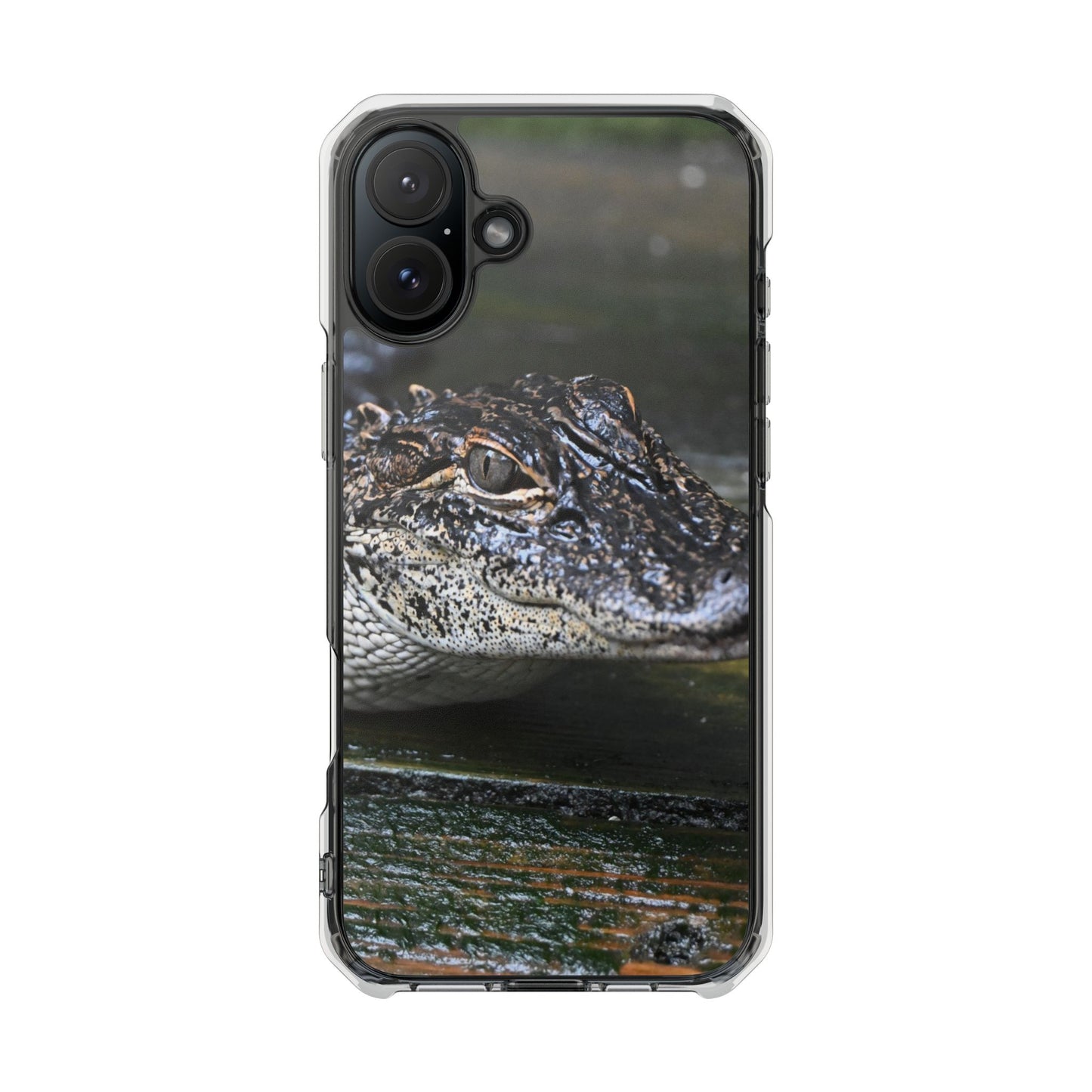 Clear Impact Phone Cases featuring Unique Wildlife Design, Alligator Art, Eco-Friendly Protection, Perfect Gift for Nature Lovers, [...]