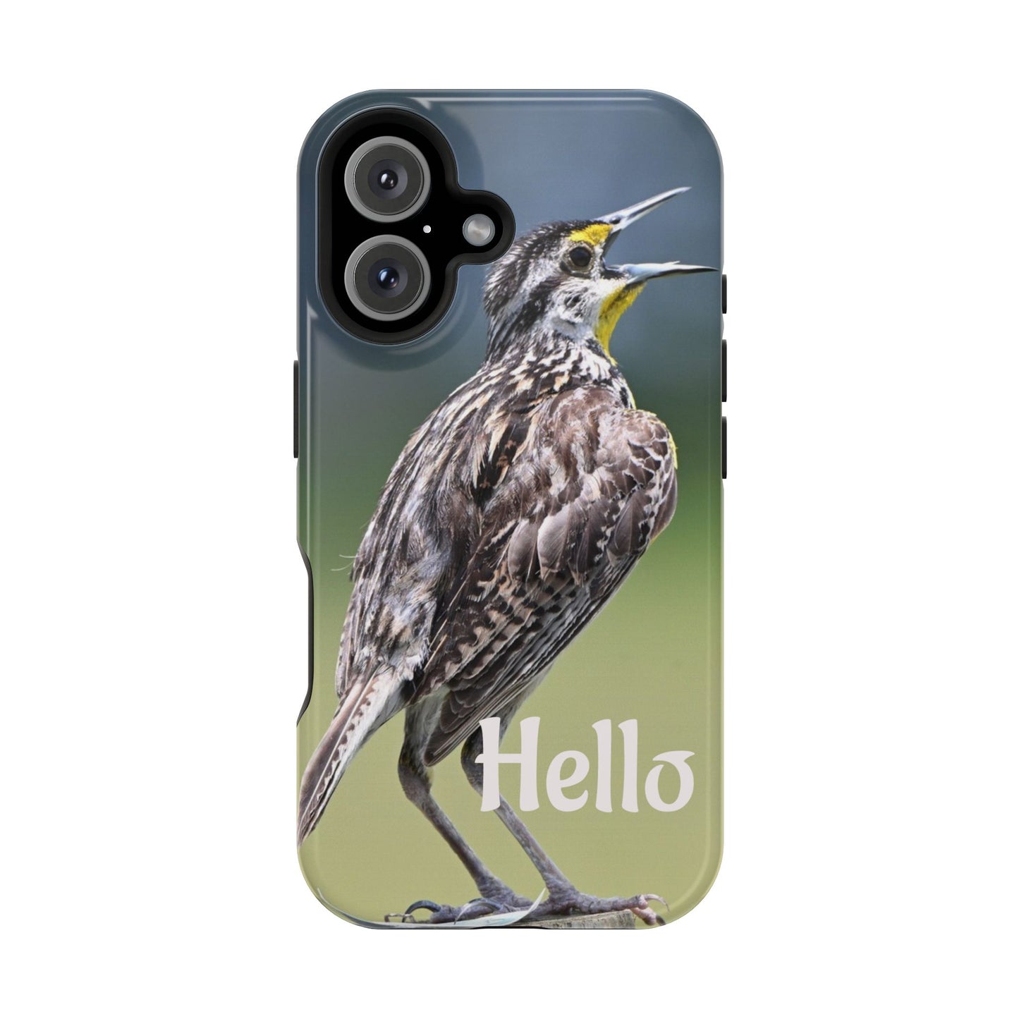 Bird-Themed Magnetic Tough Cases with 'Hello', Stylish Phone Protectors, Gifts for Nature Lovers, Birdwatching Accessories, Wildlife [...]