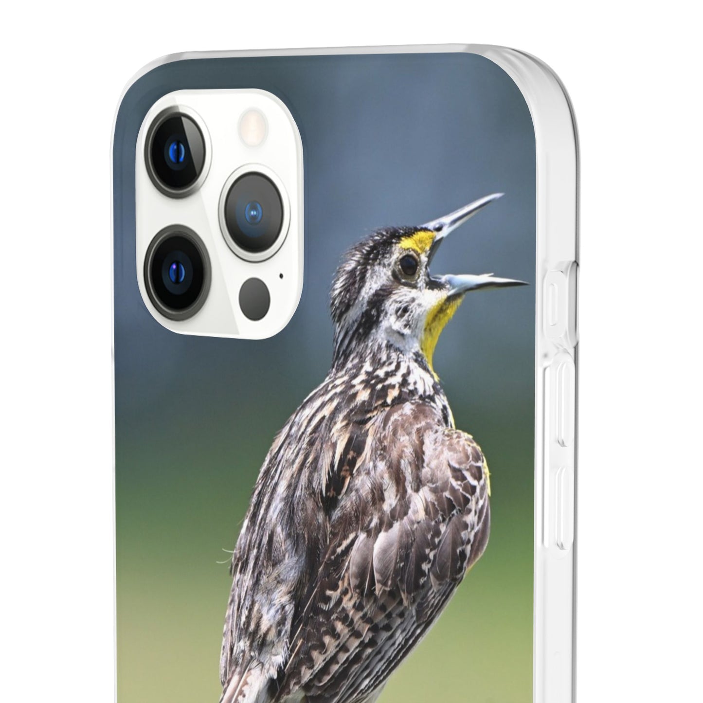 Singing Meadowlark Phone Case – Nature Bird Photo Flexi Case