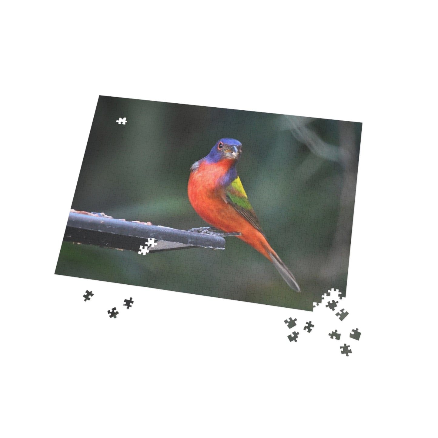 Vibrant Bird Puzzle - 96, 252, 500, or 1000 Pieces | Nature Jigsaw for Bird Lovers, Family Game Night, Educational Fun, Gift Idea