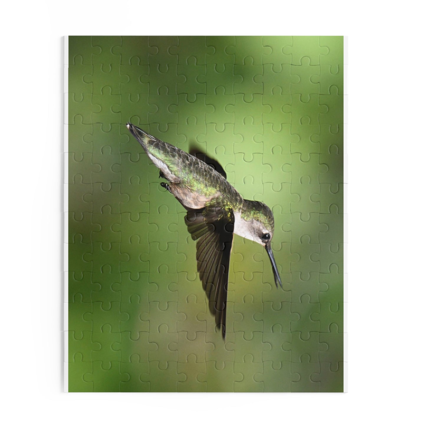 Hummingbird Puzzle - Nature Lover Gift, Bird Watching Decor, Jigsaw Fun for Family, Relaxing Game, Perfect for all Ages