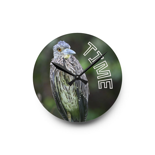 Acrylic Wall Clock — Bird Photo "TIME" Decorative Wall Clock for Nature Lovers