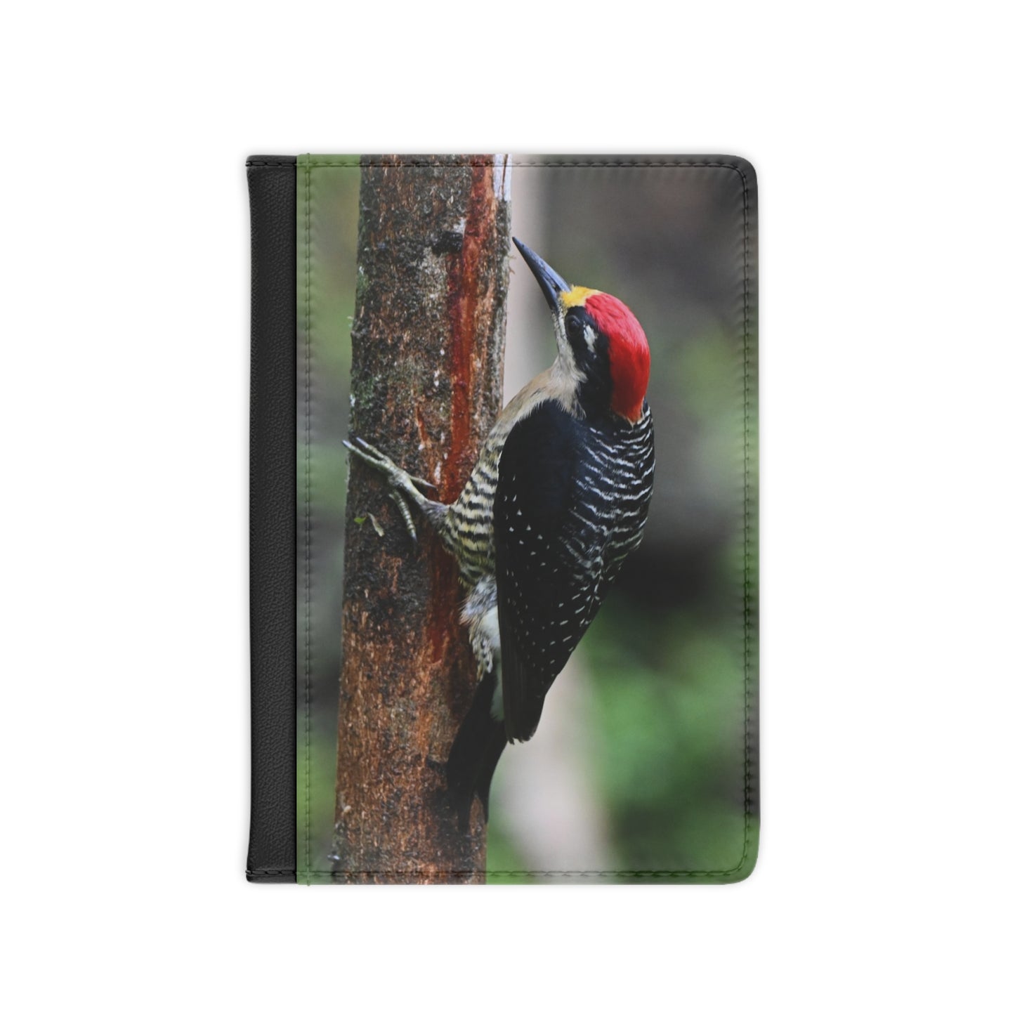 Woodpecker Passport Cover — Red-capped Bird Travel Passport Holder