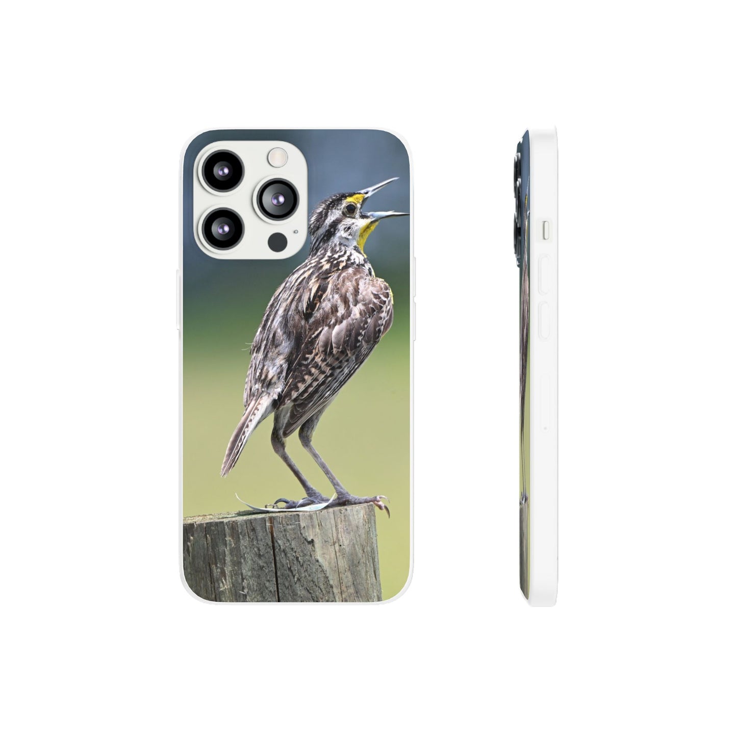 Singing Meadowlark Phone Case – Nature Bird Photo Flexi Case