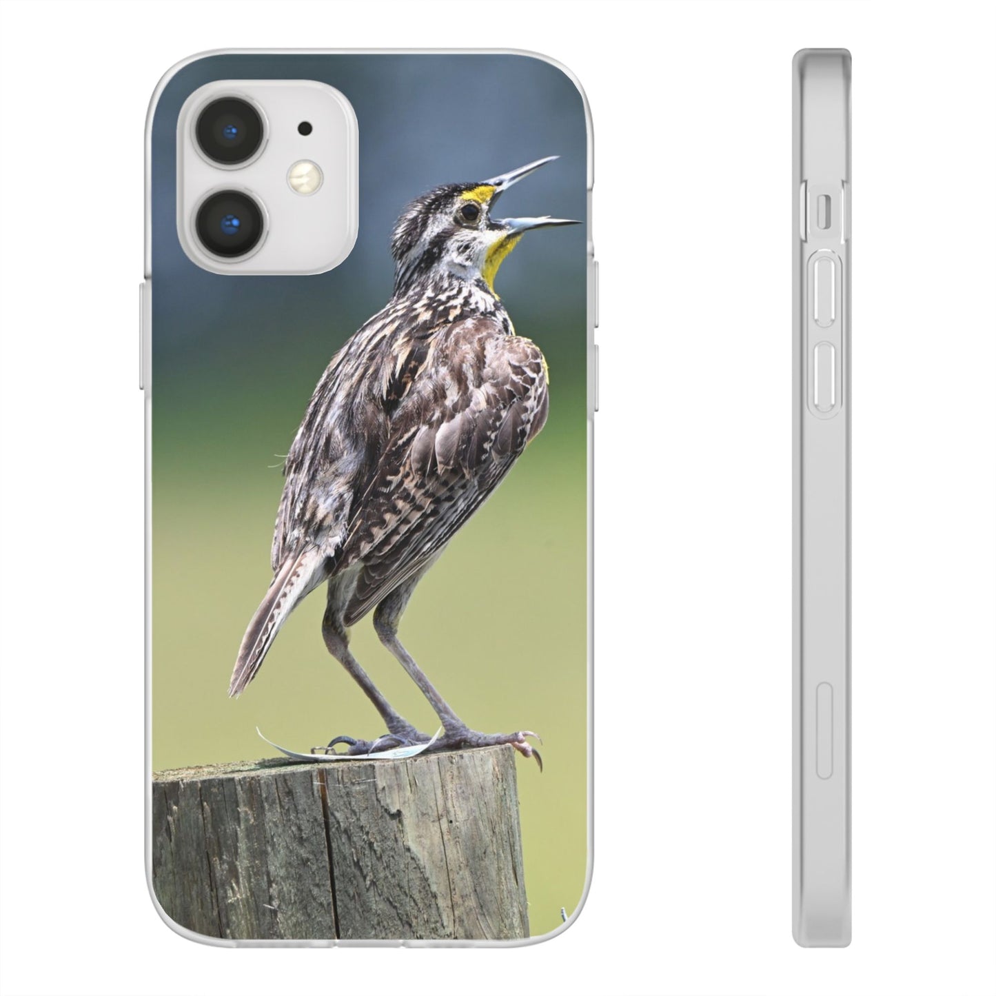 Singing Meadowlark Phone Case – Nature Bird Photo Flexi Case