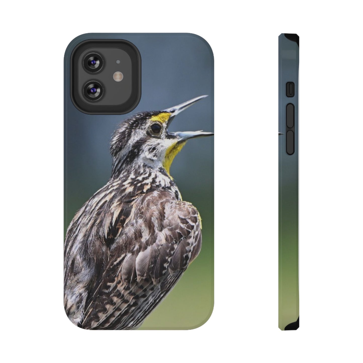 Western Meadowlark Photo Phone Case — Impact-Resistant Protective Cover