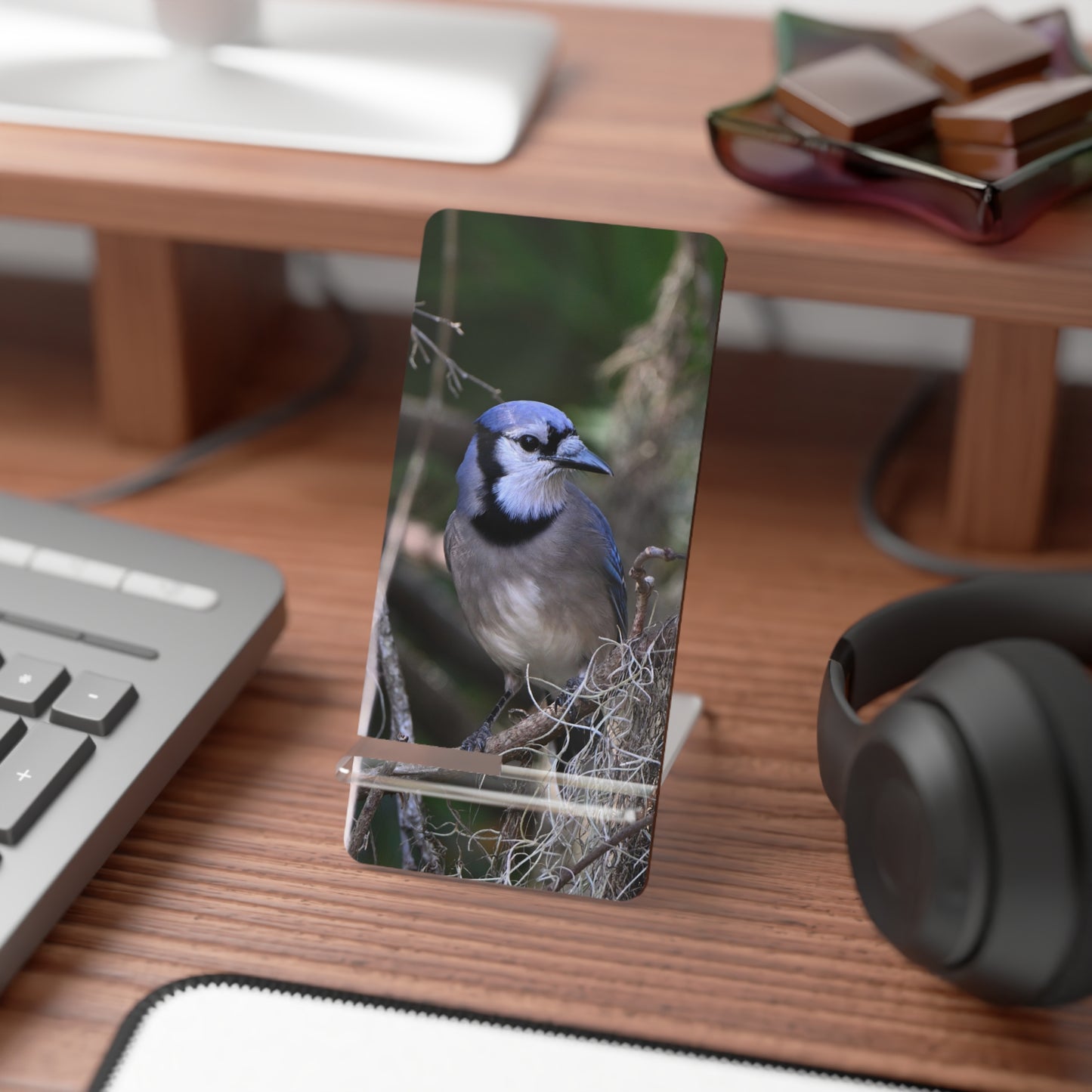 Blue Jay Photo Phone Stand — Clear Acrylic Mobile Display Stand