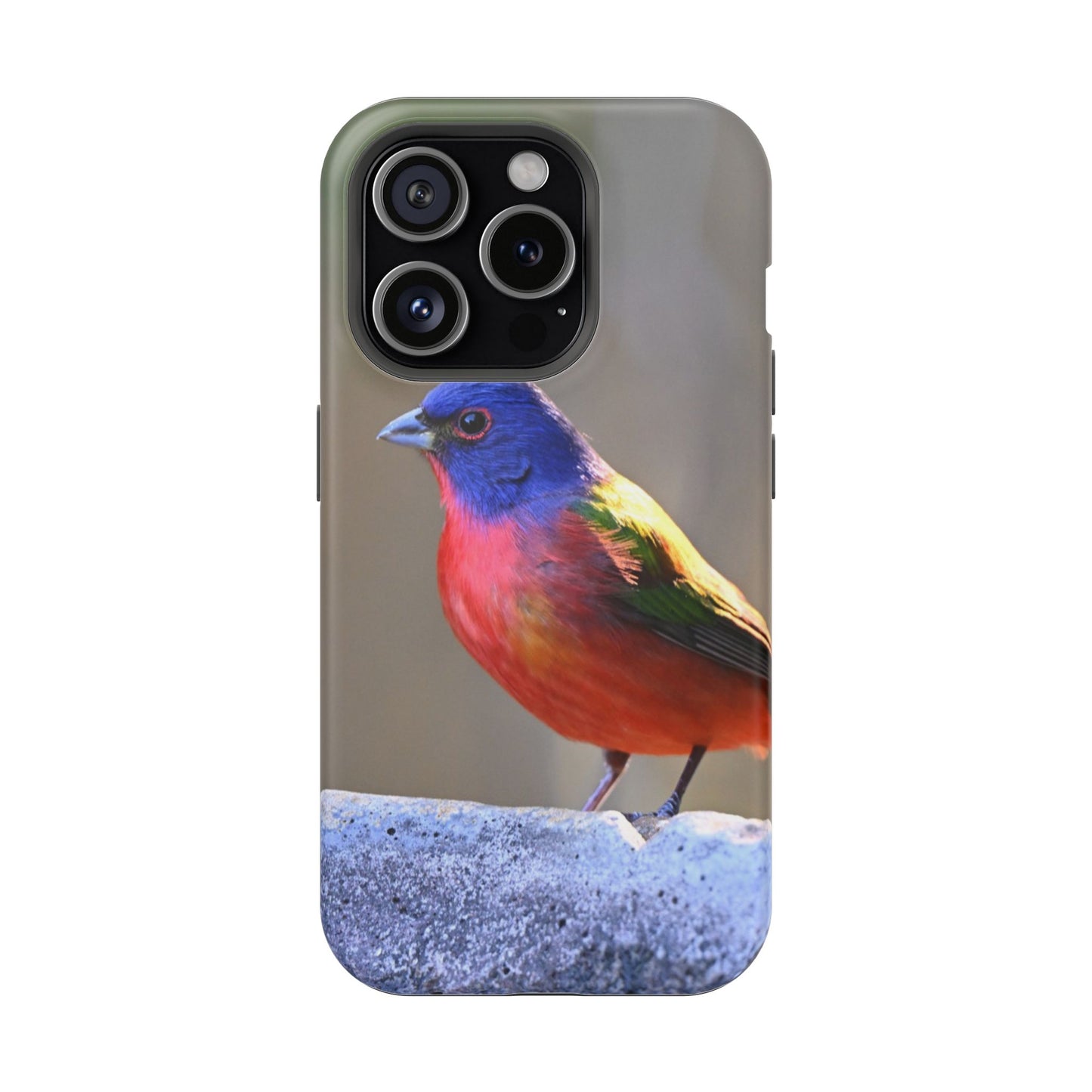 Colorful Bird Phone Case, Magnetic Tough Cases, Nature Lover Gift, Wildlife Phone Cover, Eco-Friendly Tech Accessories