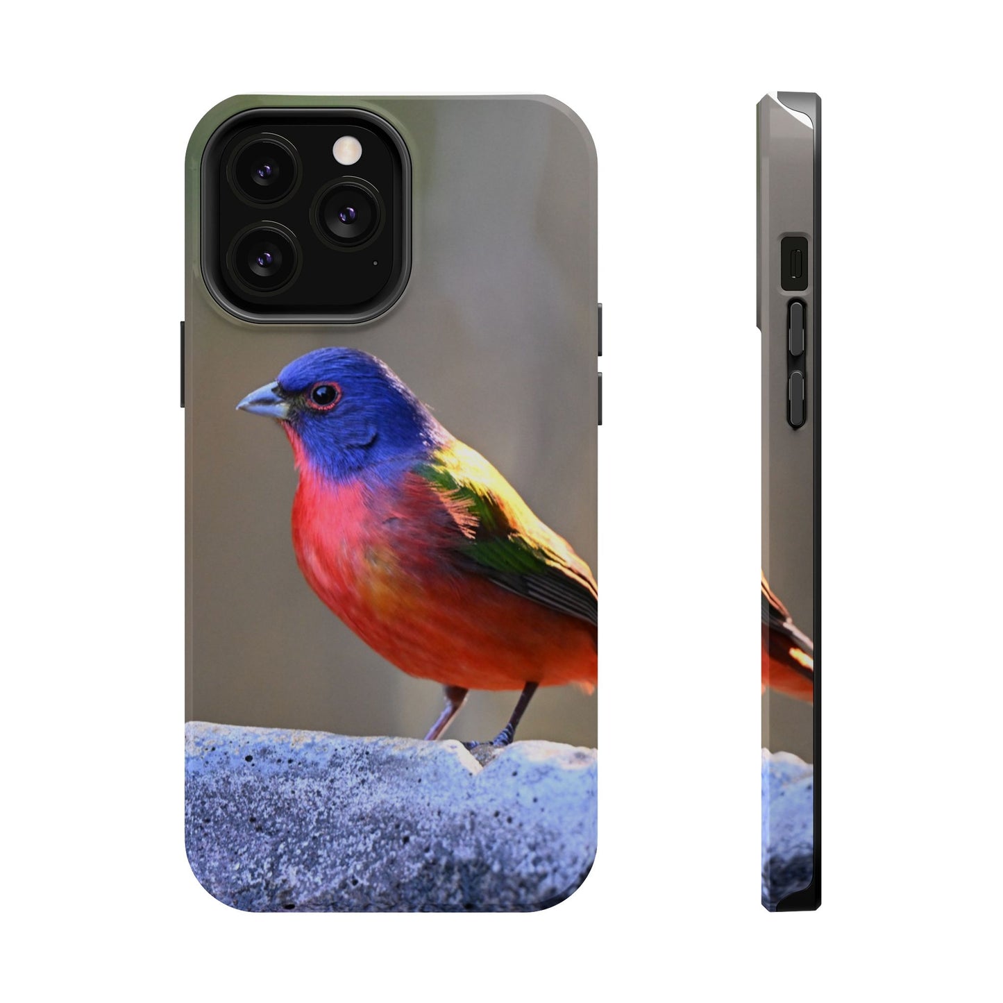 Colorful Bird Phone Case, Magnetic Tough Cases, Nature Lover Gift, Wildlife Phone Cover, Eco-Friendly Tech Accessories