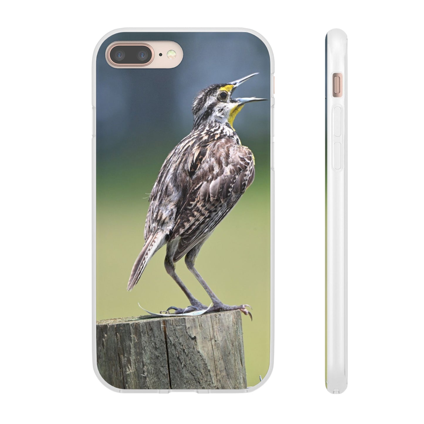 Singing Meadowlark Phone Case – Nature Bird Photo Flexi Case