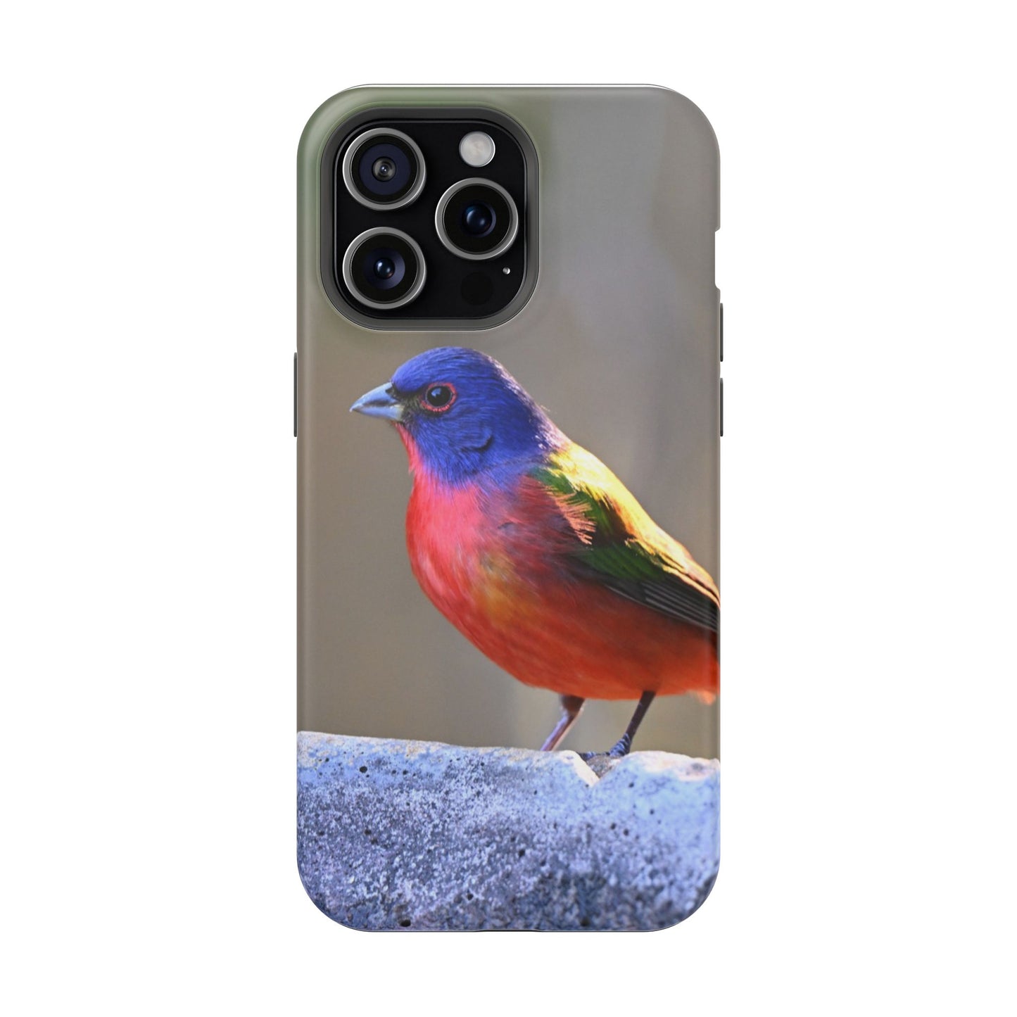 Colorful Bird Phone Case, Magnetic Tough Cases, Nature Lover Gift, Wildlife Phone Cover, Eco-Friendly Tech Accessories