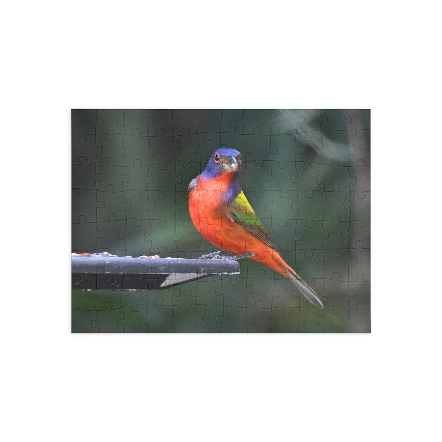 Vibrant Bird Puzzle - 96, 252, 500, or 1000 Pieces | Nature Jigsaw for Bird Lovers, Family Game Night, Educational Fun, Gift Idea