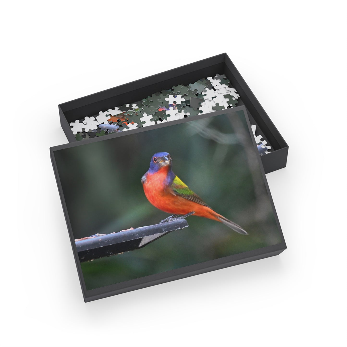 Vibrant Bird Puzzle - 96, 252, 500, or 1000 Pieces | Nature Jigsaw for Bird Lovers, Family Game Night, Educational Fun, Gift Idea