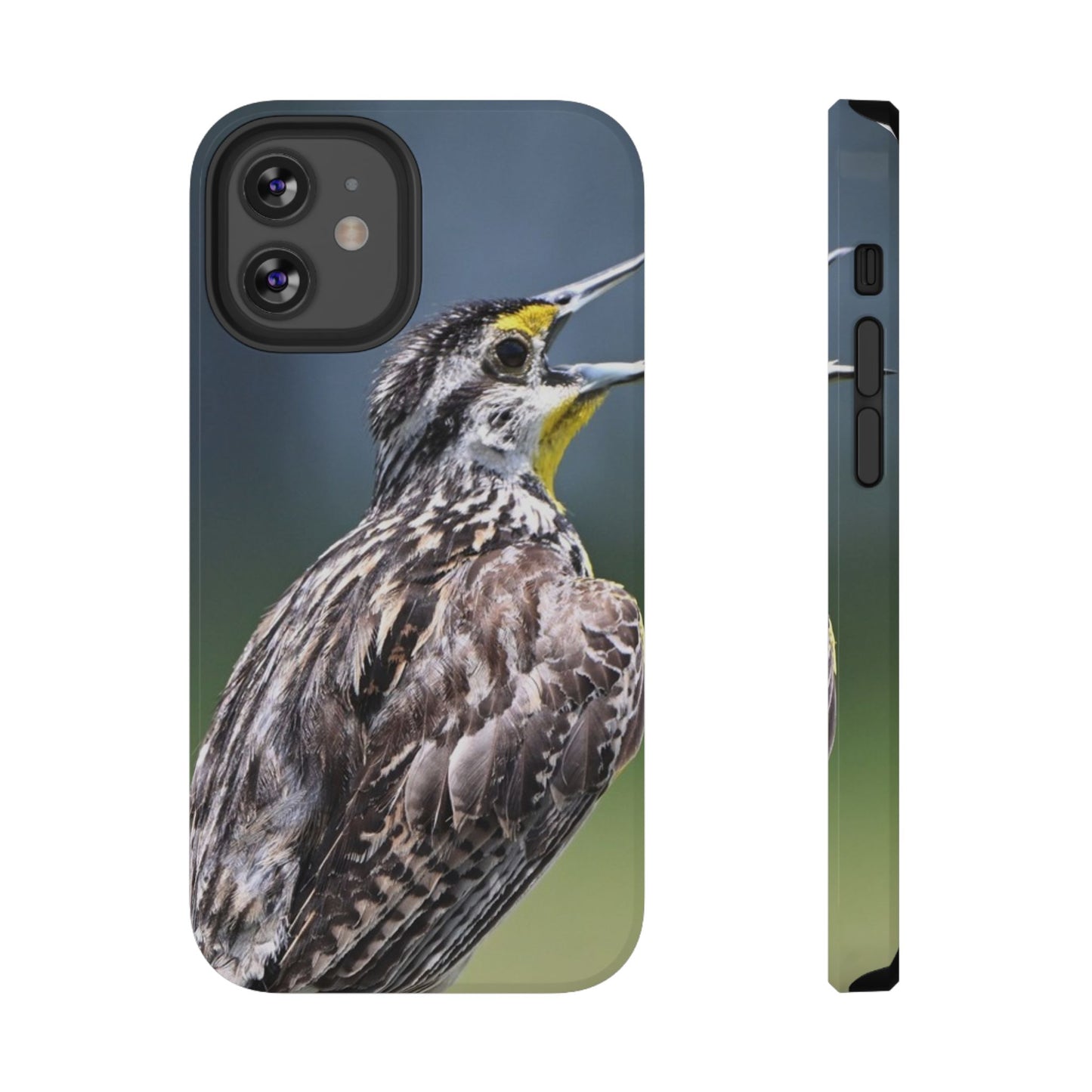 Western Meadowlark Photo Phone Case — Impact-Resistant Protective Cover