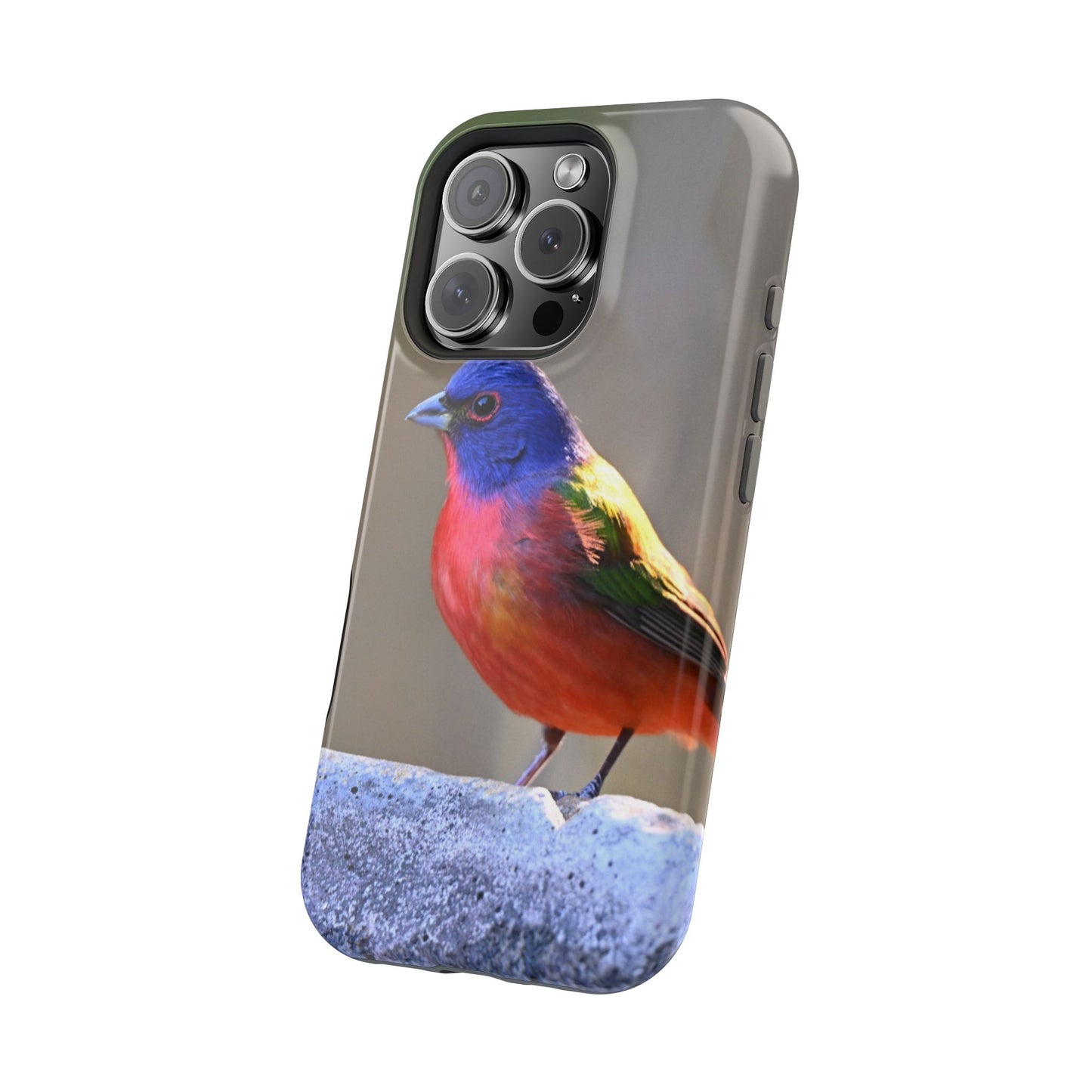 Colorful Bird Phone Case, Magnetic Tough Cases, Nature Lover Gift, Wildlife Phone Cover, Eco-Friendly Tech Accessories