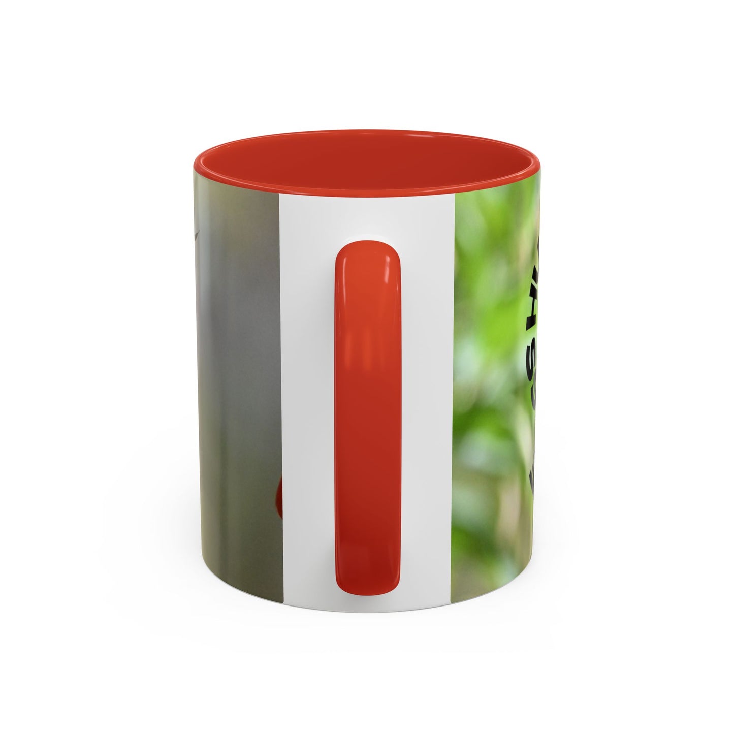 Hummingbird Accent Coffee Mug – 11/15oz Ceramic Mug with Black Interior & Handle
