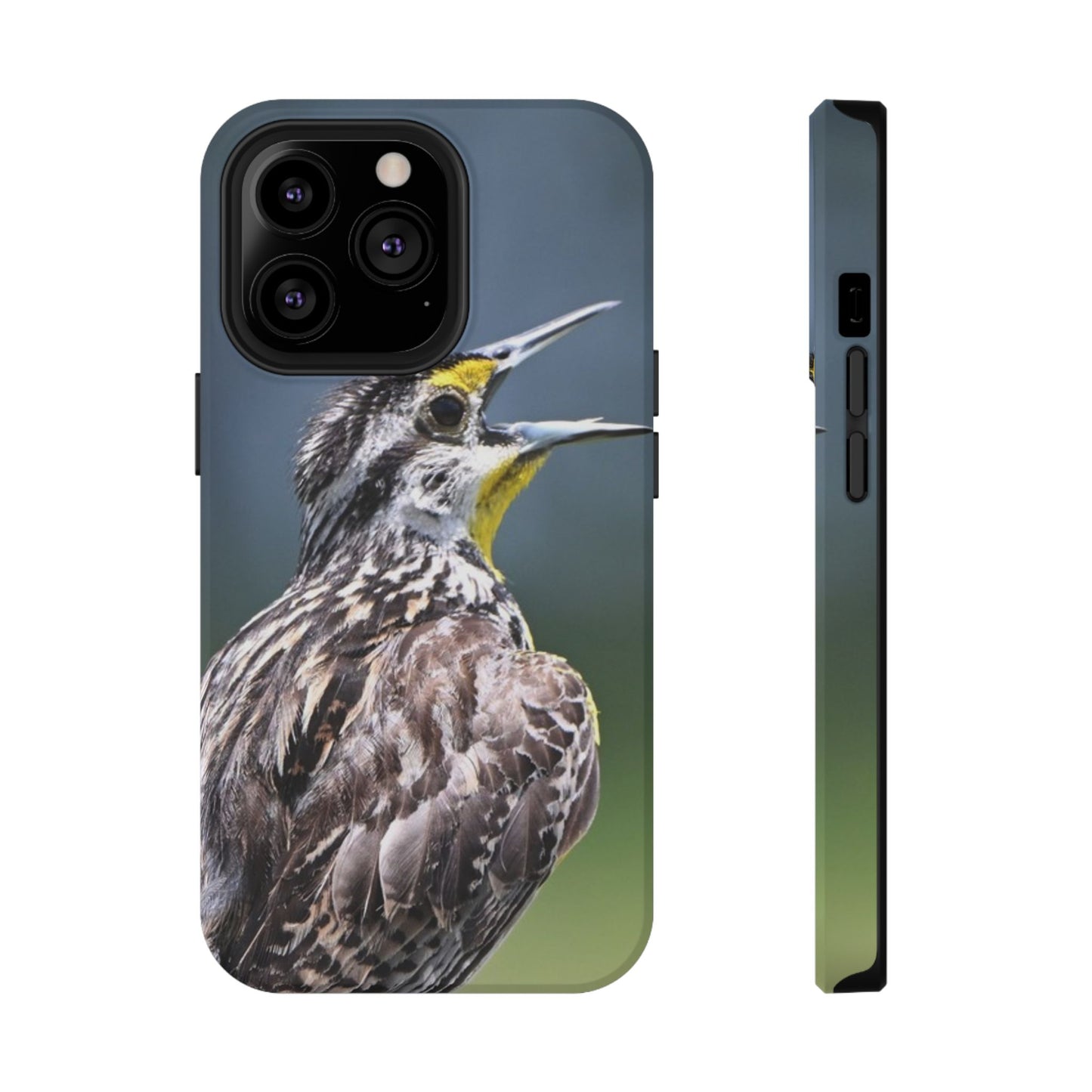 Western Meadowlark Photo Phone Case — Impact-Resistant Protective Cover