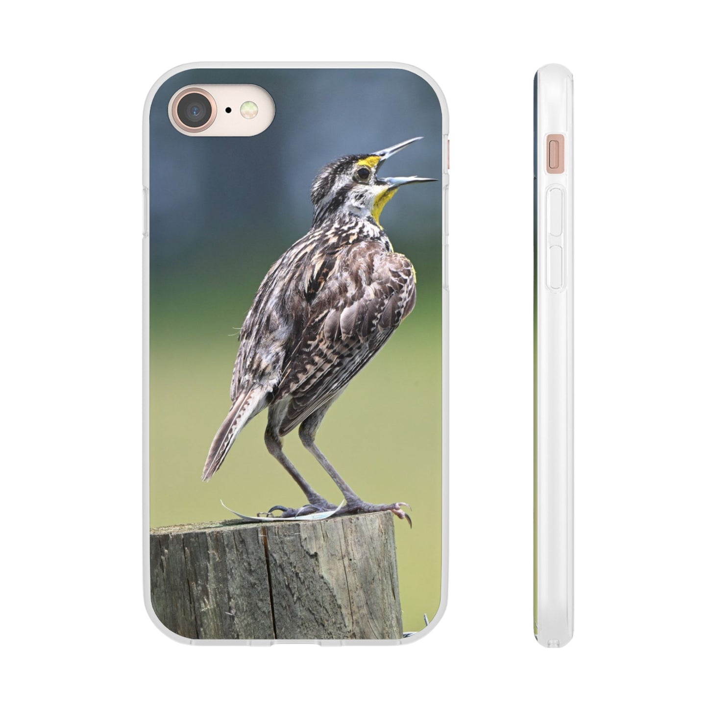Singing Meadowlark Phone Case – Nature Bird Photo Flexi Case